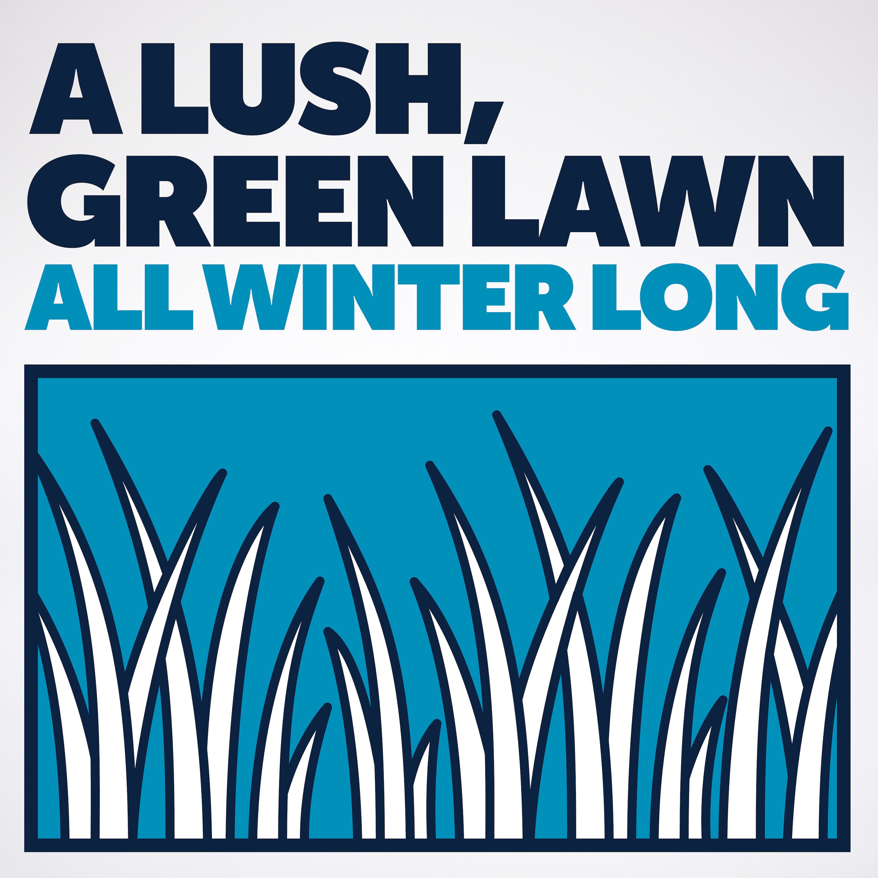 Pennington 2149602254 Grass-Seed - View #3