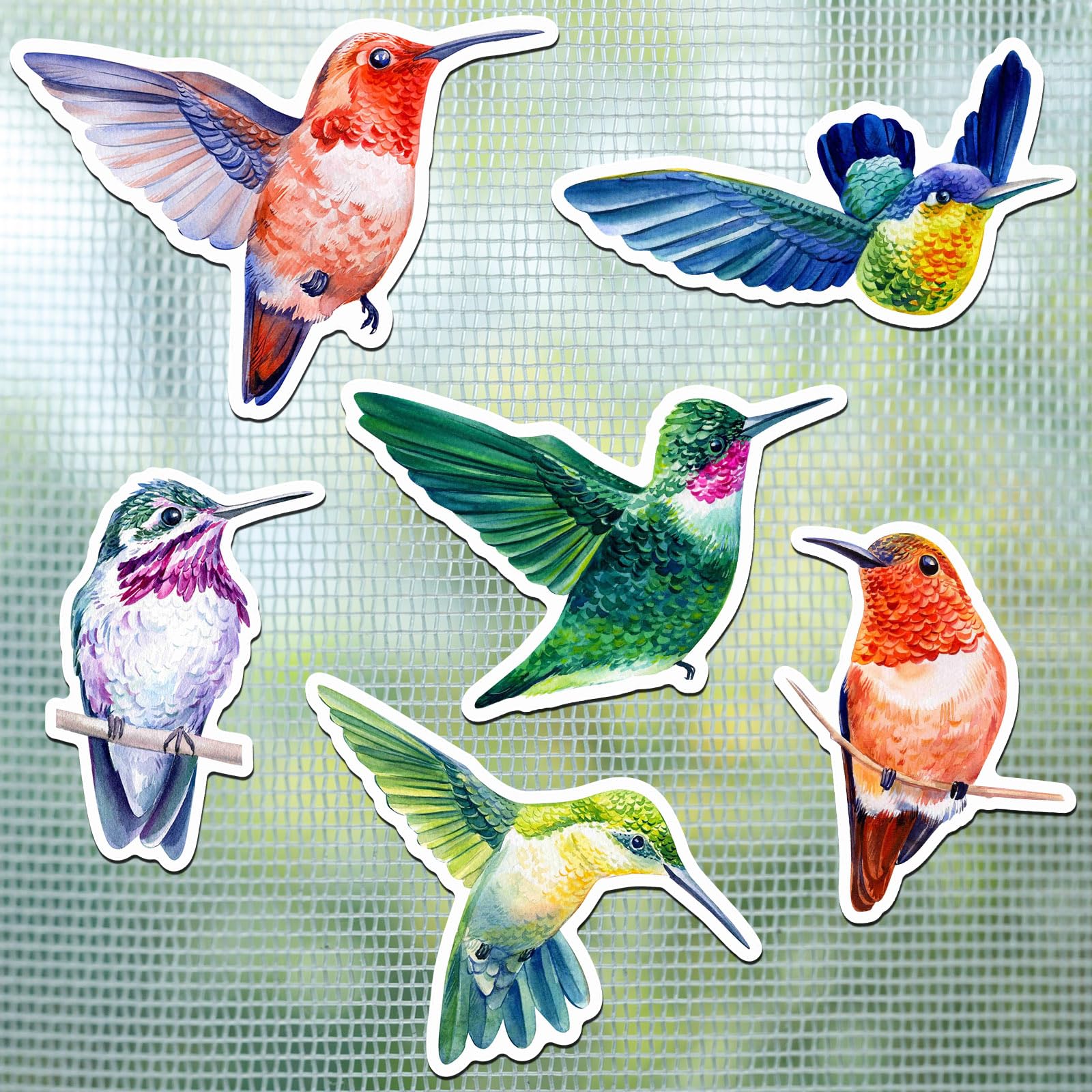 Phyfalip  12 Pcs Hummingbird Screen Door Magnets Decorative Double Sided Stickers for Sliding Doors Keeps Pets and People Safe