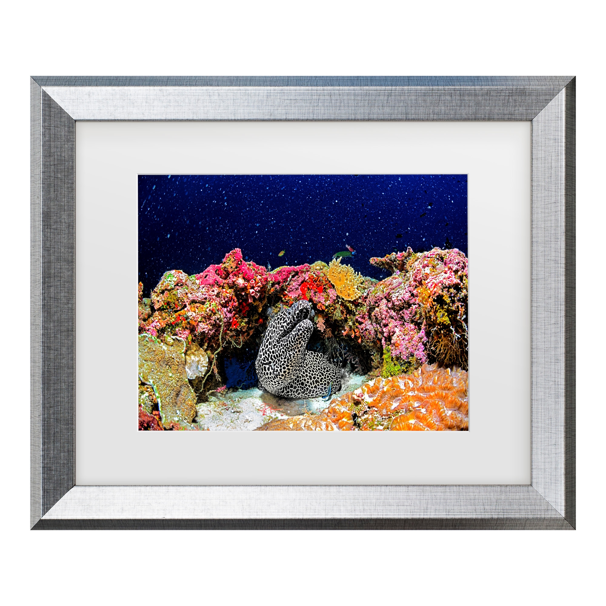 Trademark Fine Art 1X10504-S1620MF Wall-Art - View #2
