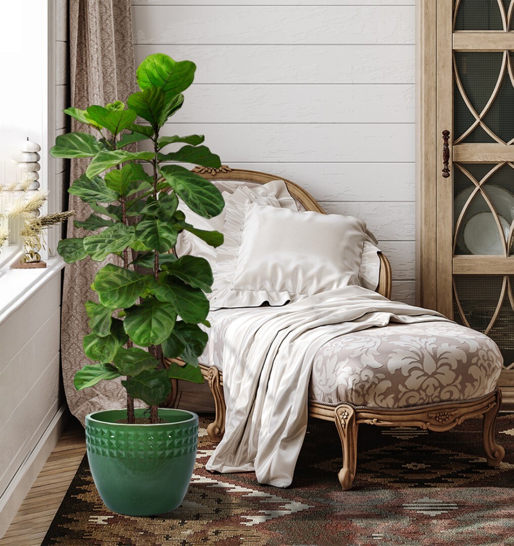 AHIOU HOME ZAAHG-P321483PP Planter-Window-Box - View #3