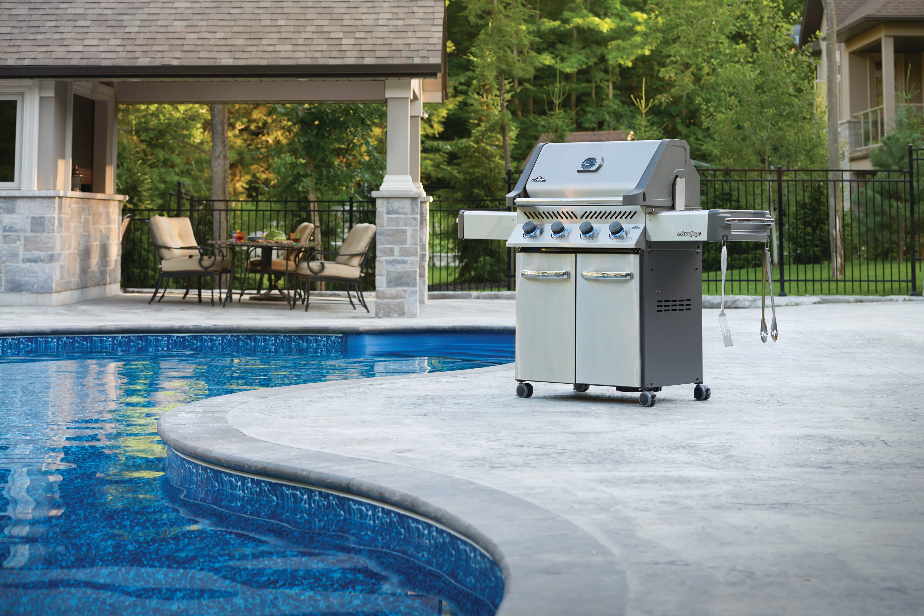 NAPOLEON P500NSS-3 Gas-Grill - View #3