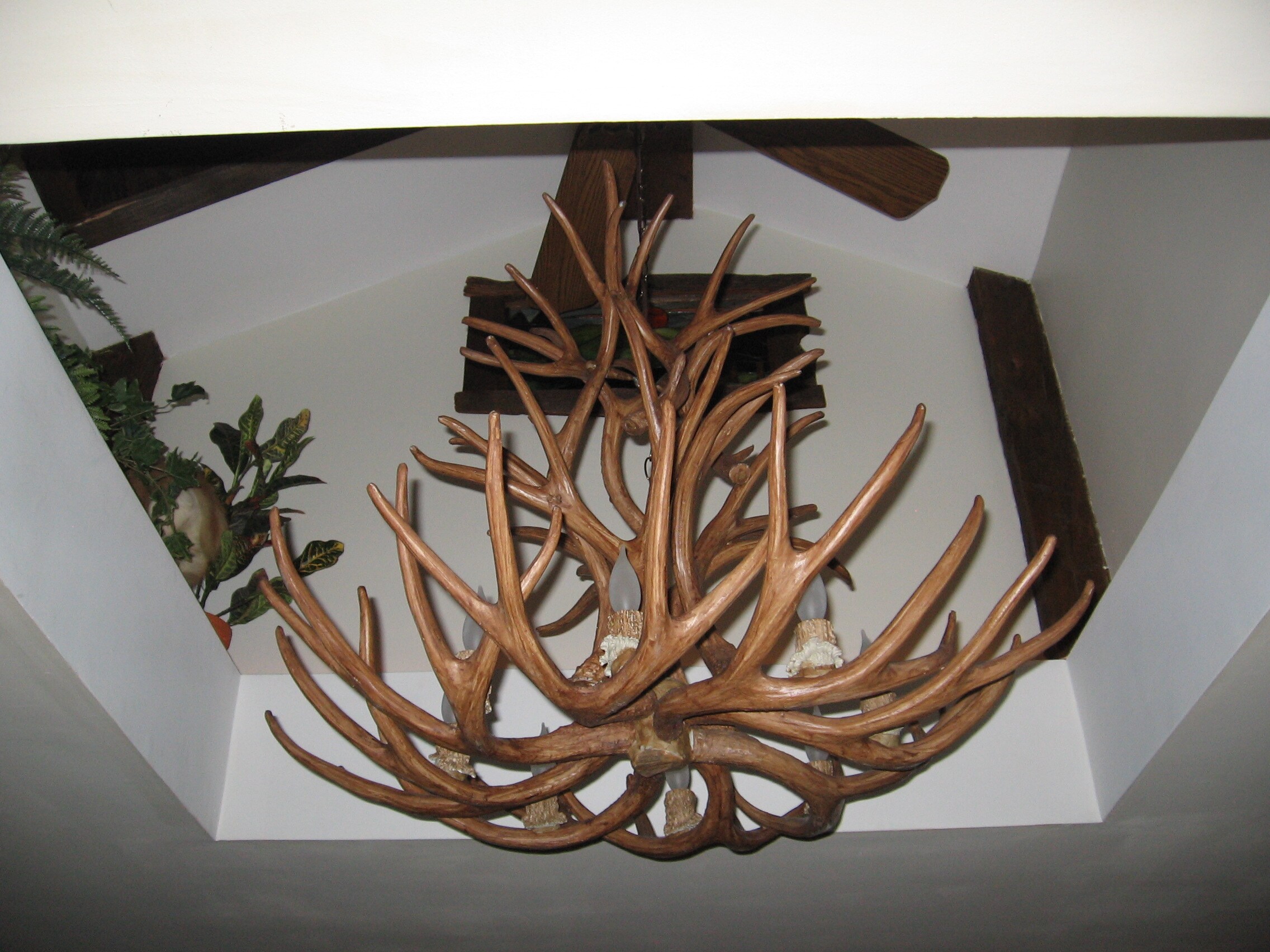 Canadian Antler Design CLR-4-XL-N b090015 - View #4