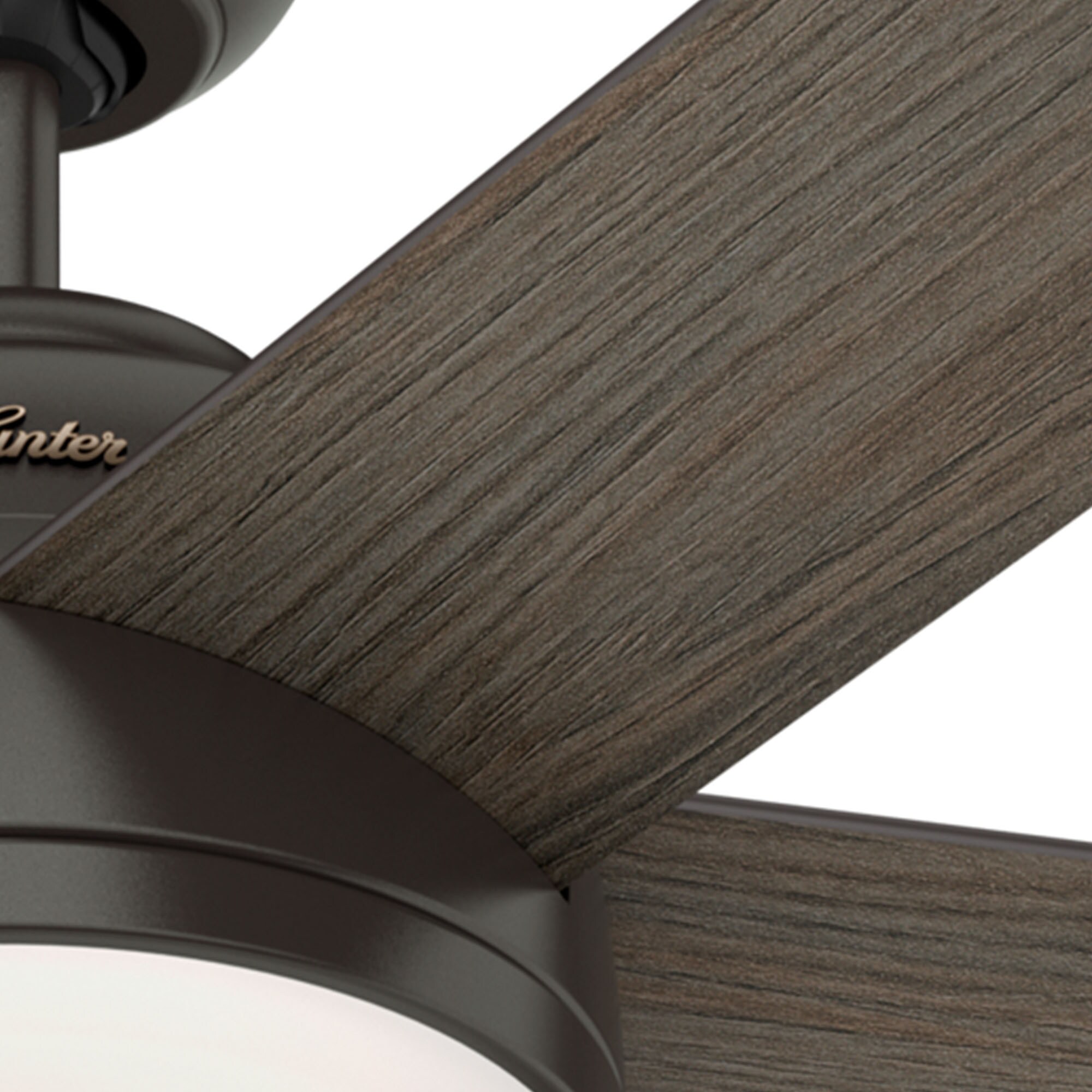Hunter 59485 Ceiling-Fans - View #13