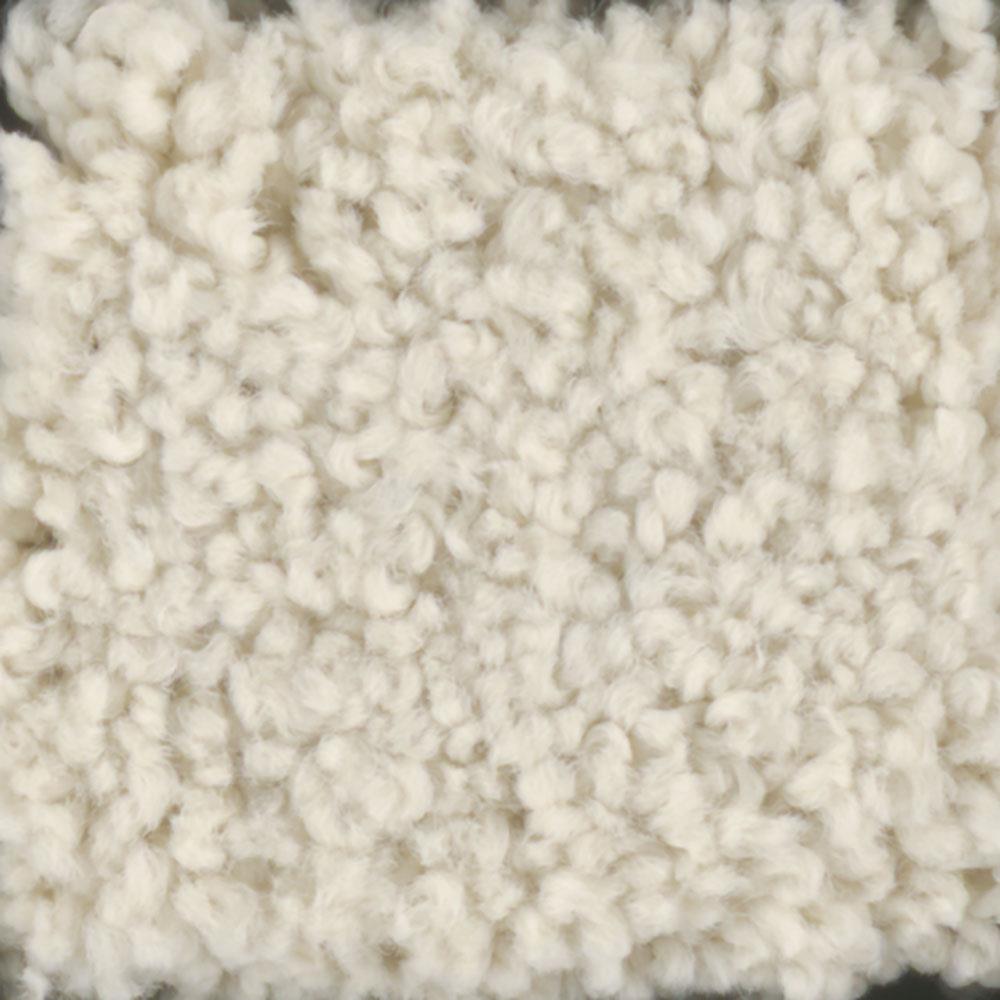 STAINMASTER 7L611-102-SAMP (Sample) Signature Subtle Beauty 2 Hominy Textured Carpet