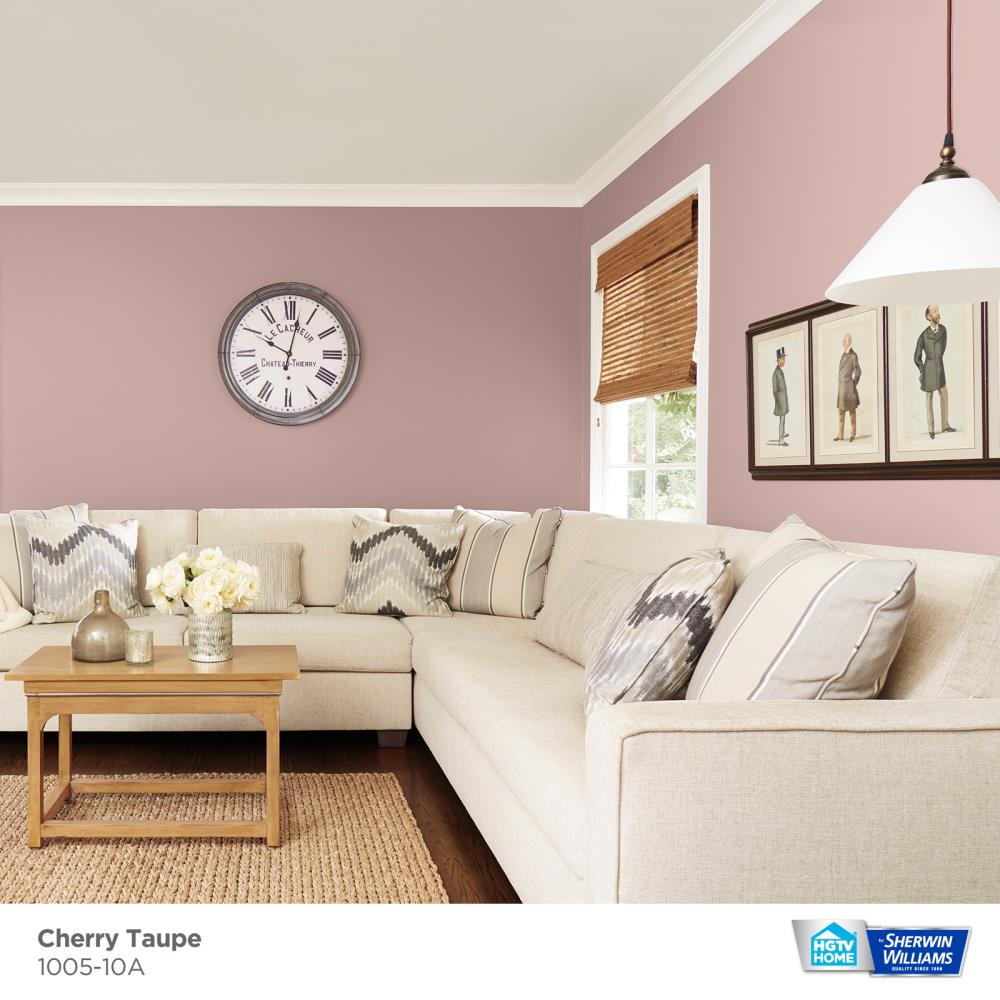 HGTV HOME by Sherwin-Williams 1005-10A-2557219 Int-Ext-Paint - View #3