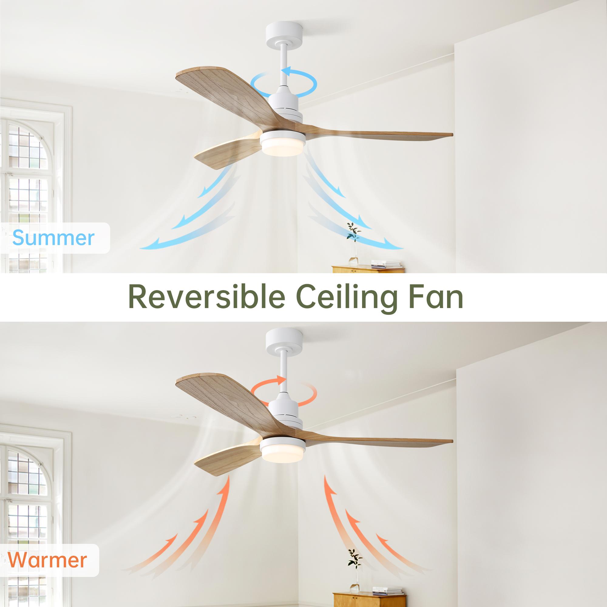Bayfeve BFKS-45941-CF Ceiling-Fans - View #5