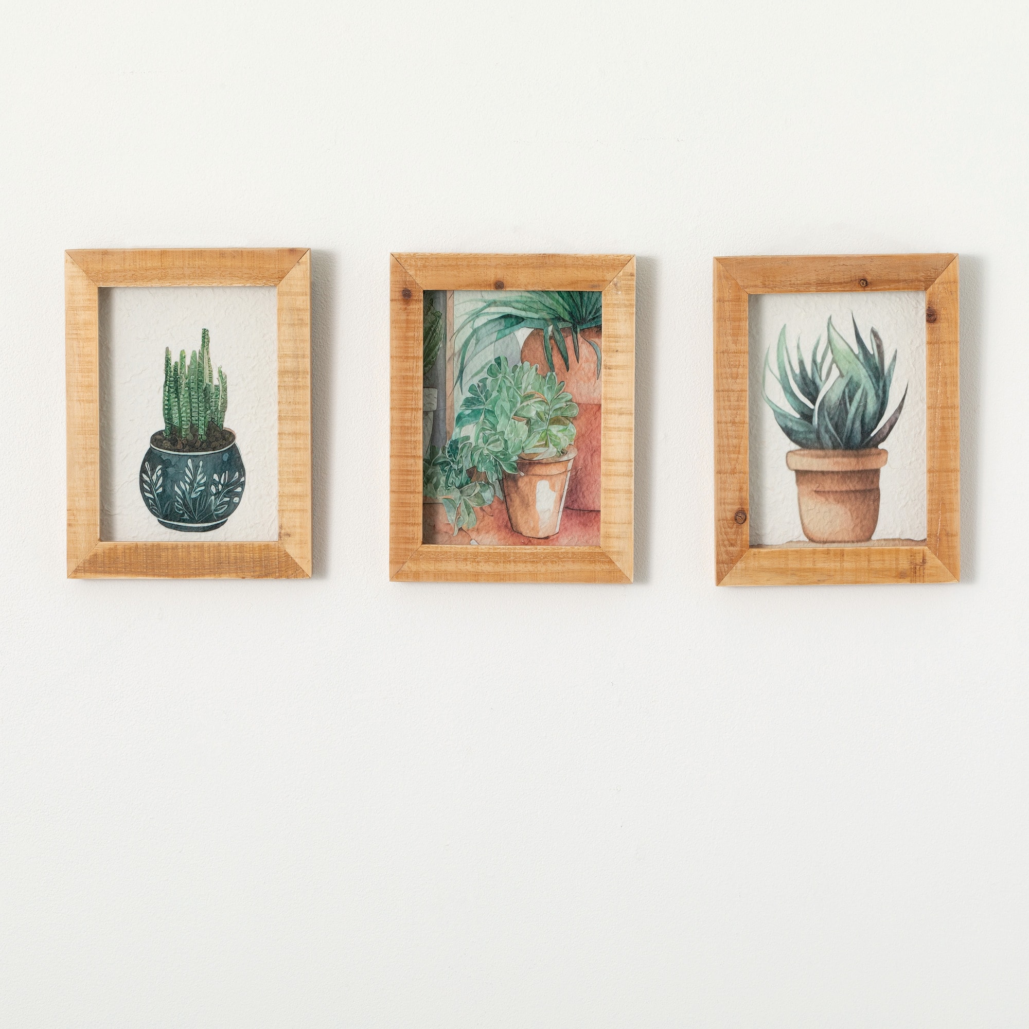Sullivans N3141  Planter Shadow Box Artwork Set of 3 12" Multicolor Brown Wood Framed 12-Inches H x 10-Inches W Botanical Wood Print