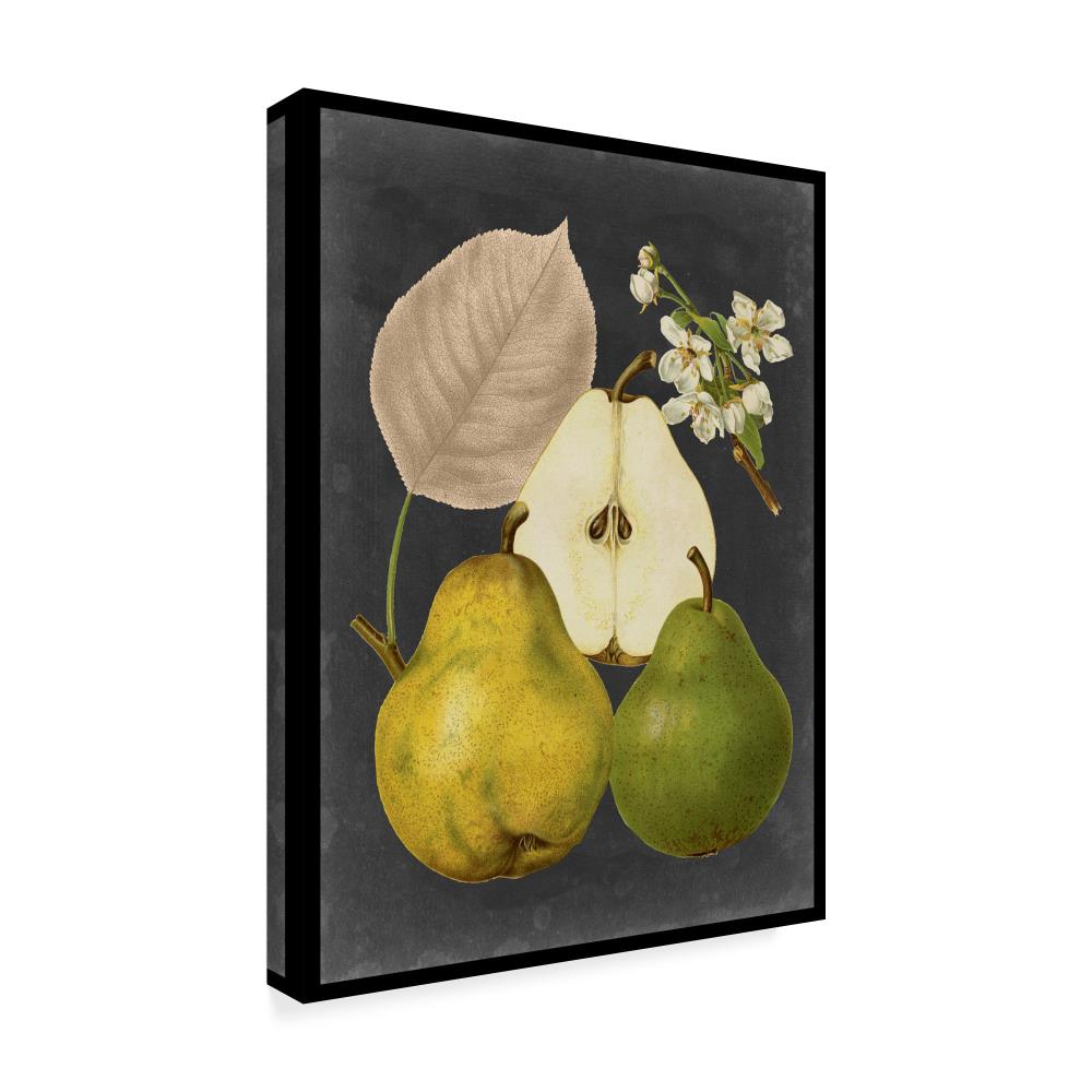 Trademark Fine Art WAG04056-C1419GG Wall-Art - View #2