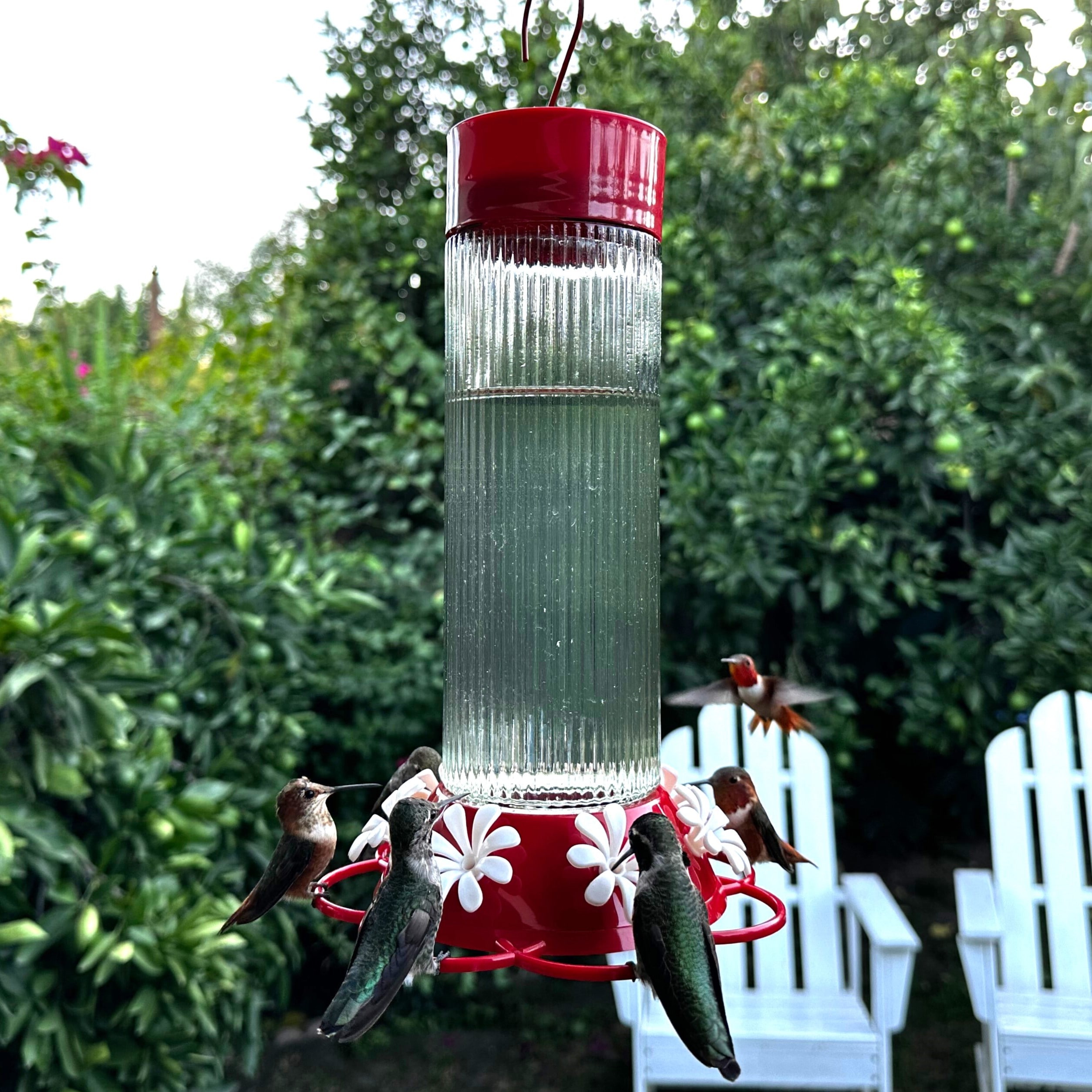 Nature's Way TGF5-IP Bird-Feeders - View #5