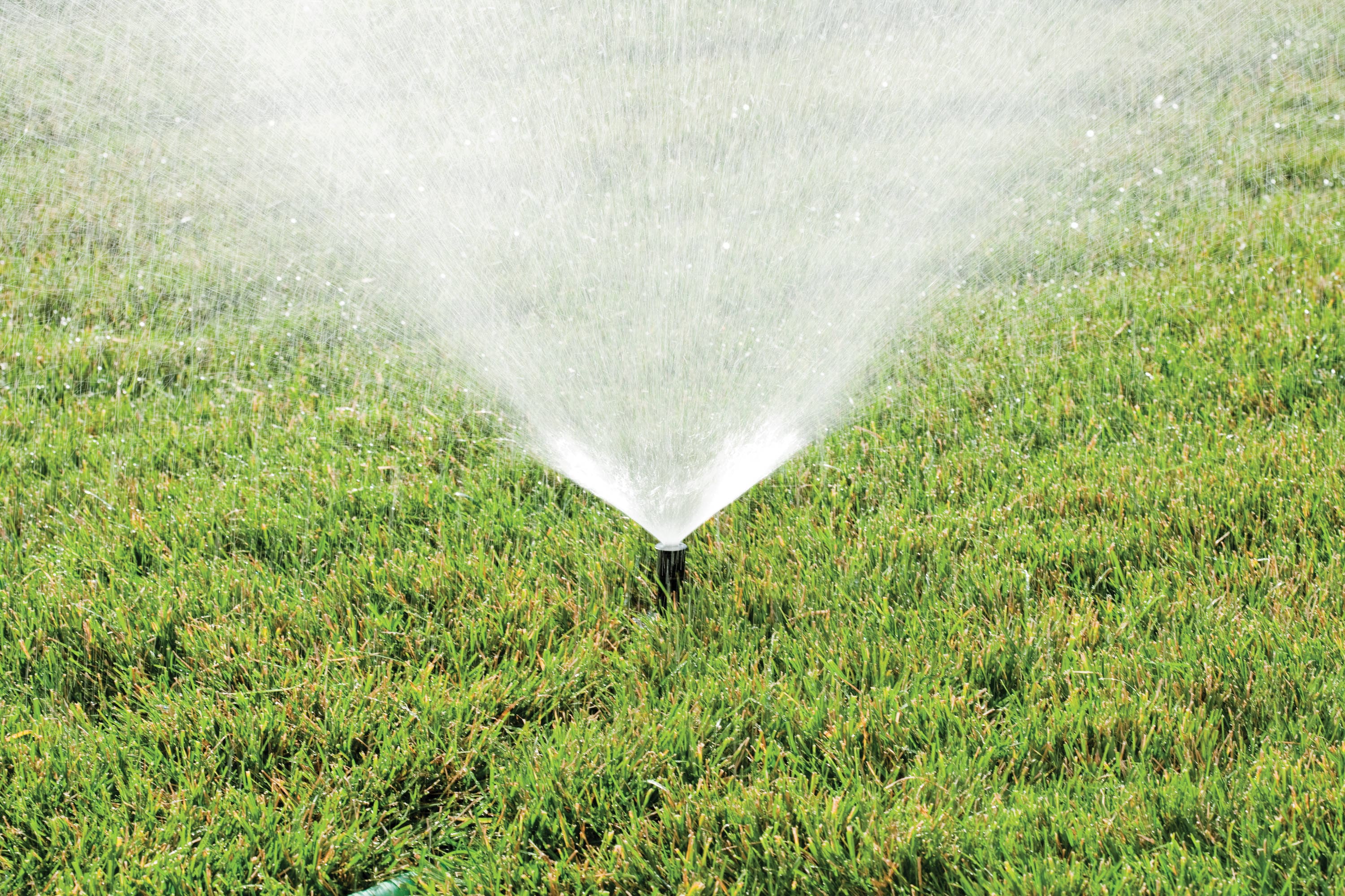 Rain Bird 1800 Professional 8-ft-15-ft Full-circle Pop-up Spray Head ...