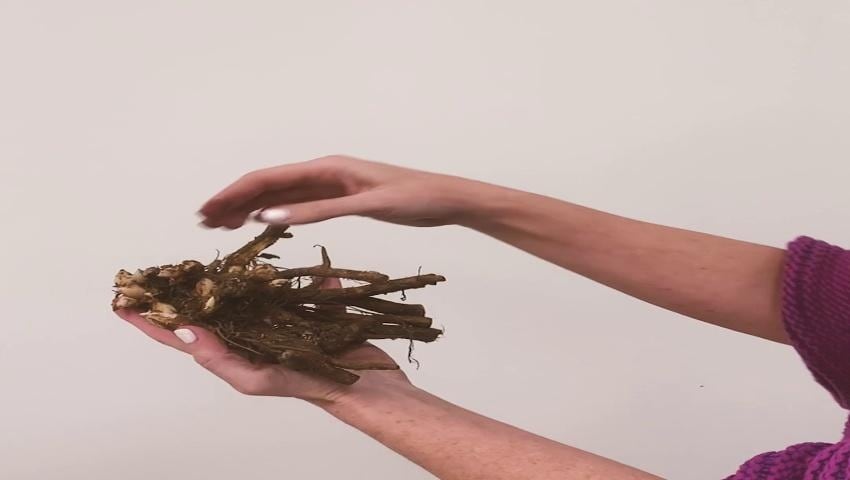 A thumbnail for the video