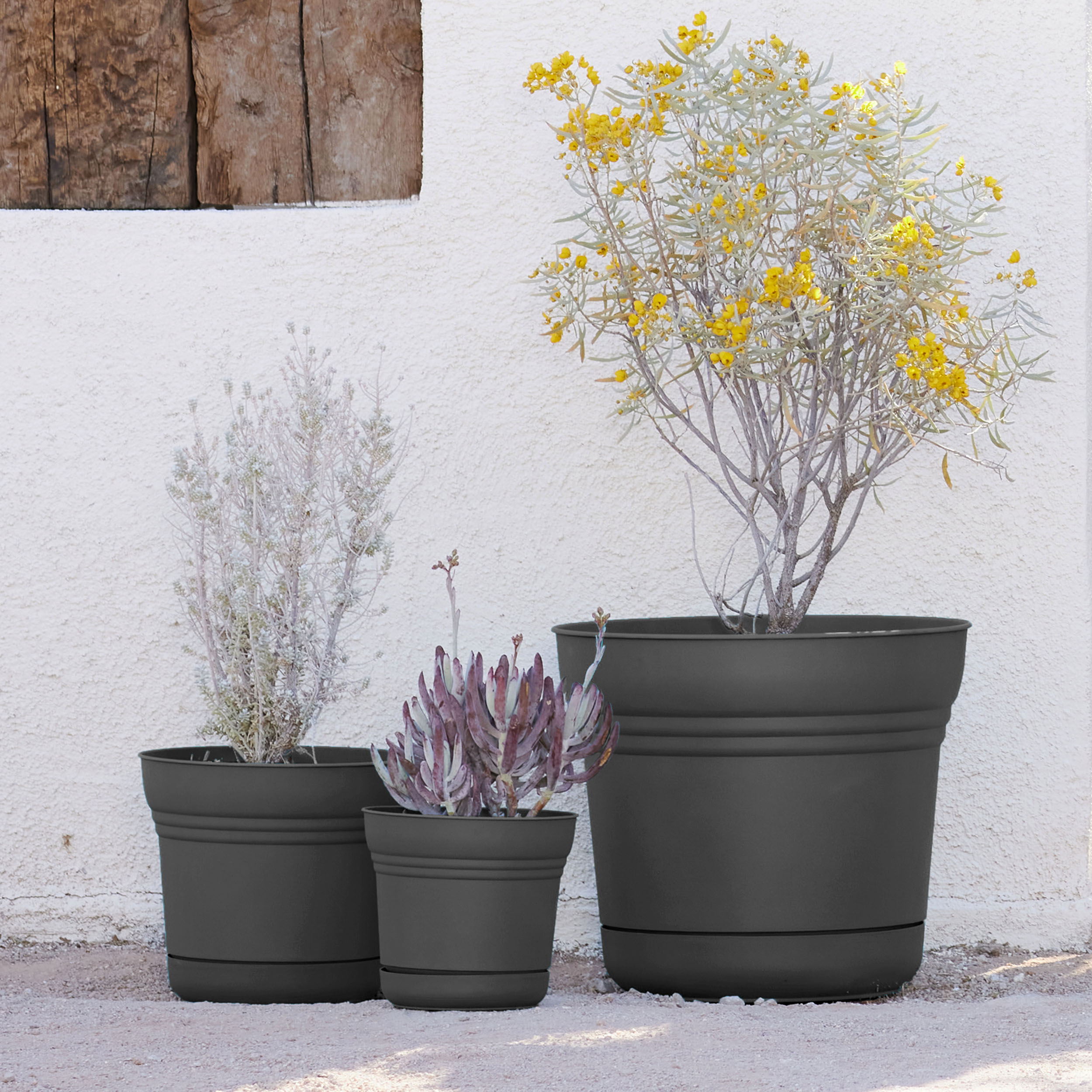 Bloem SP07908 Planter-Window-Box - View #7