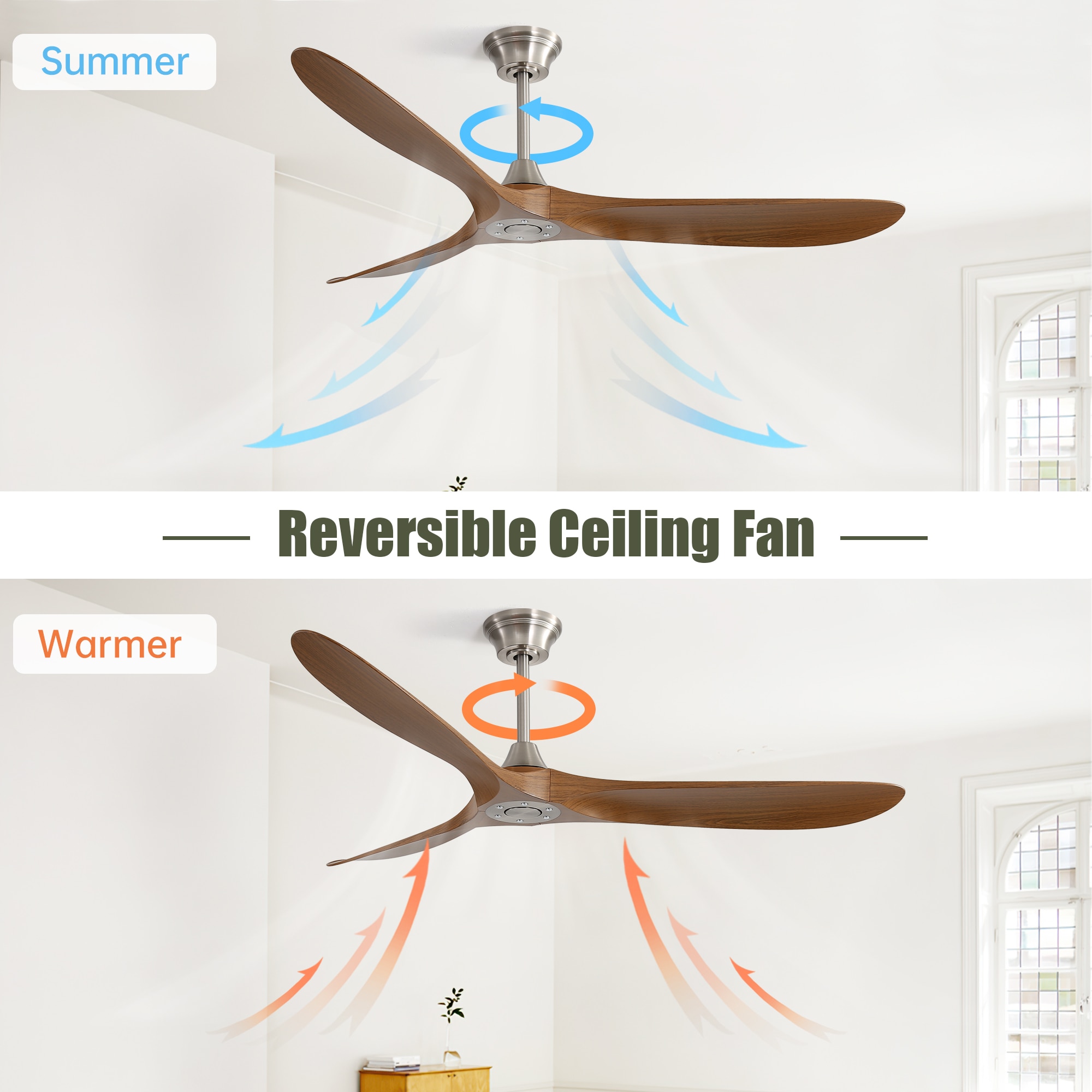 Tinyhomie LW-RV-BMM443 Ceiling-Fans - View #2