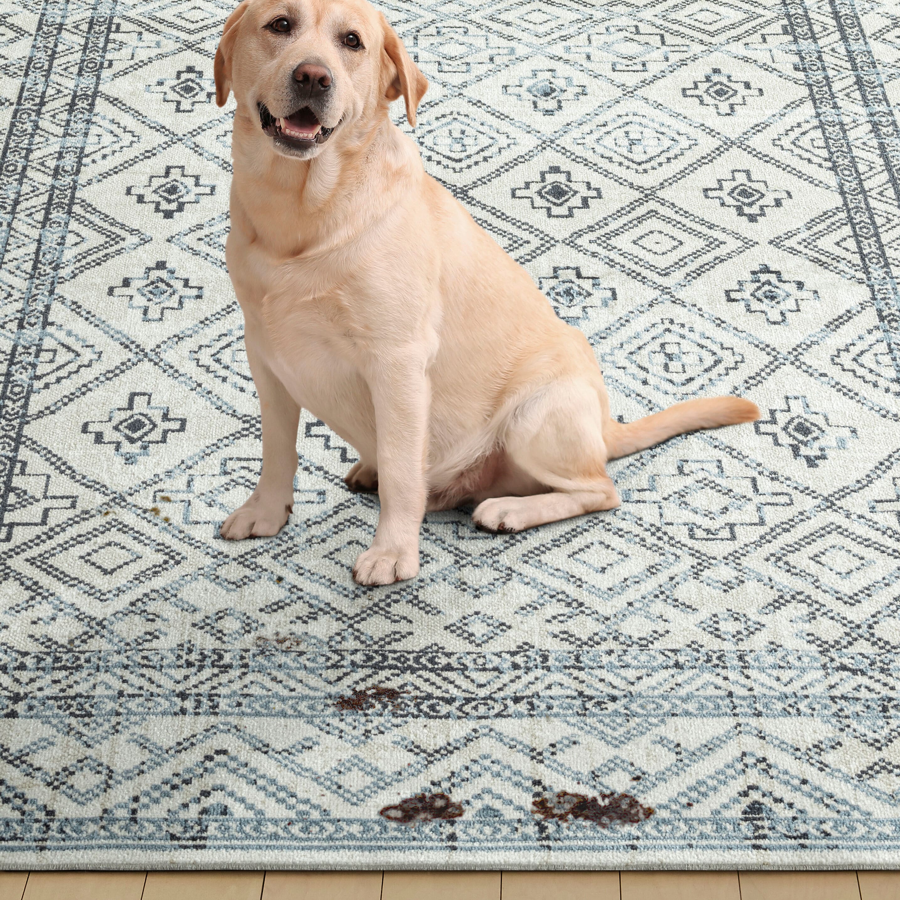 Everwash 2A-15-705 rugs - View #2