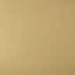 Satin Brass
