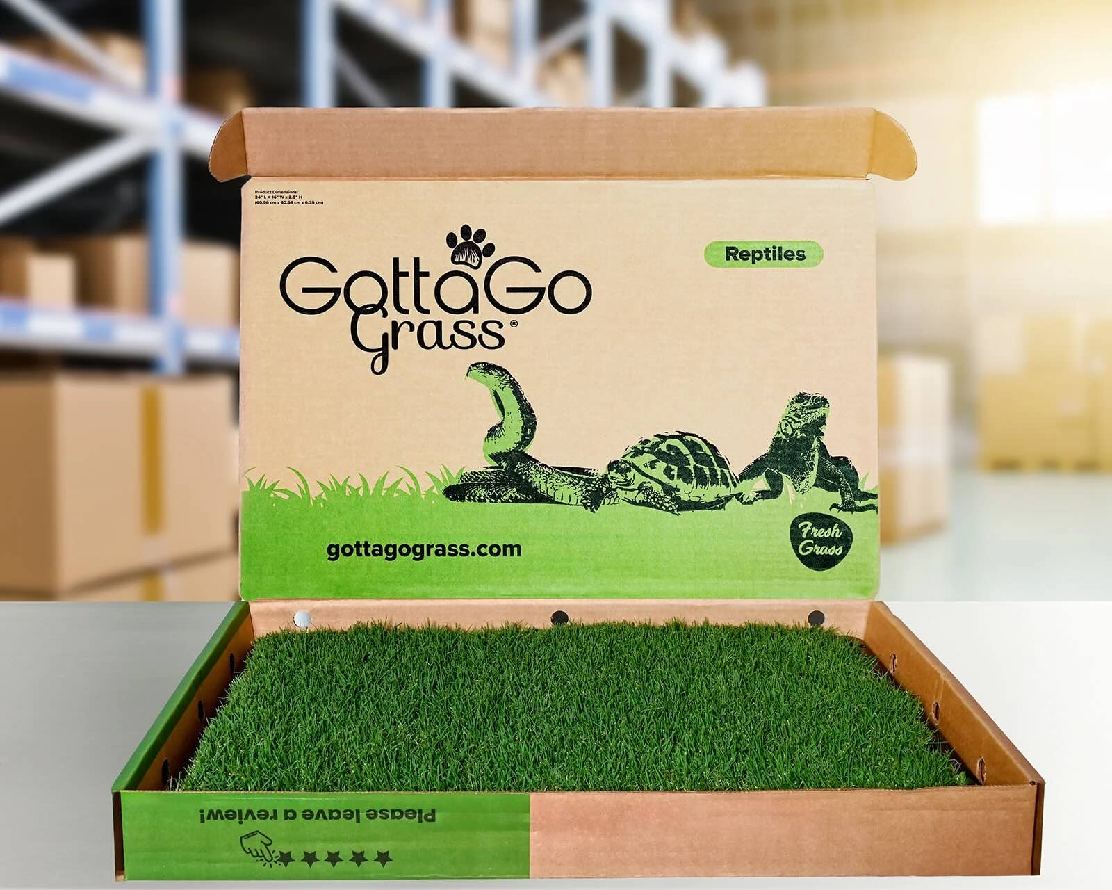 Gotta Go Grass GGGREP1NOTRAY sod - View #3