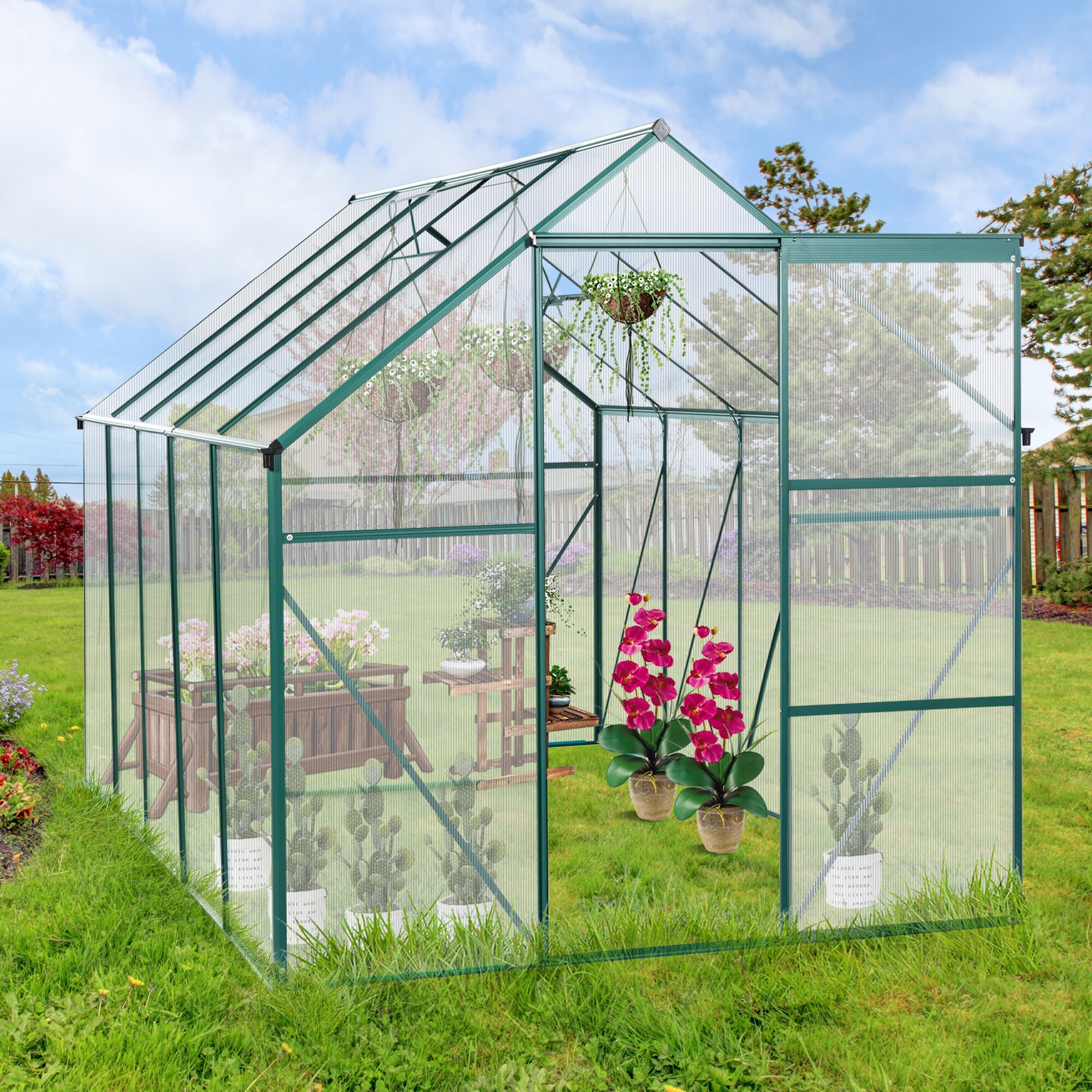 Clihome CL-WC54S03 greenhouses - View #3