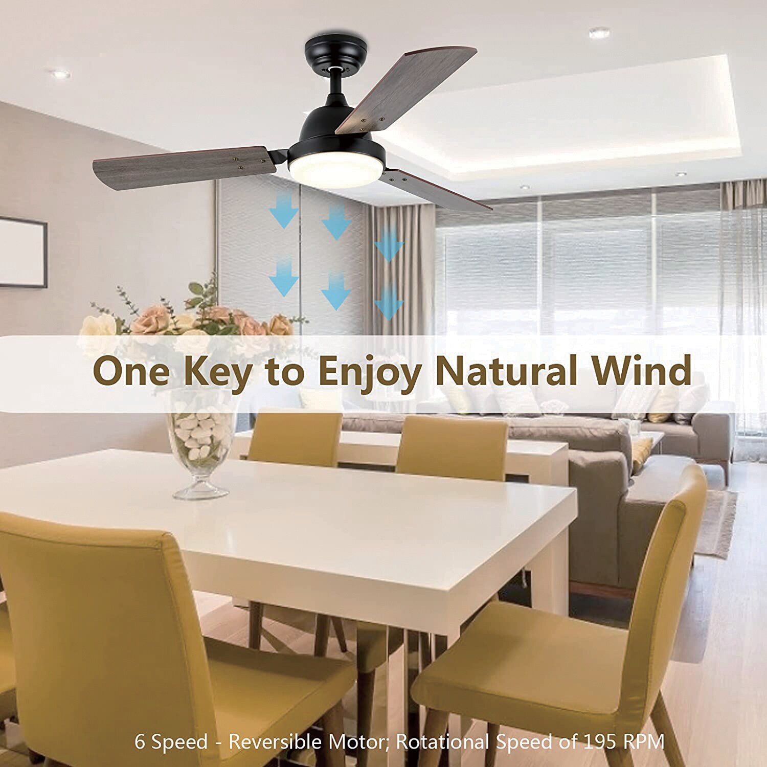 Maincraft D01-CF036 Ceiling-Fans - View #4