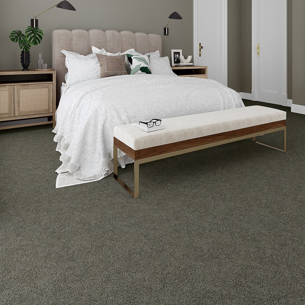 STAINMASTER STP34-L012-0808 Carpet-Samples - View #3