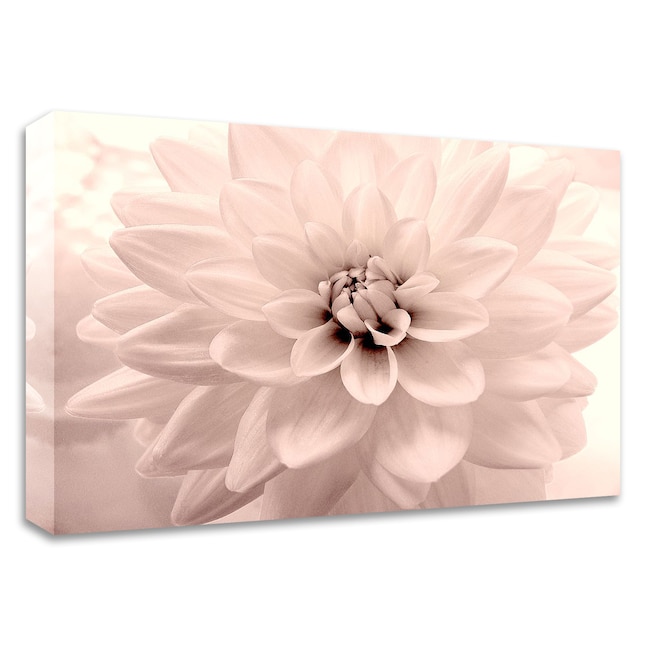 Tangletown Fine Art Pink Dahlia 2 Judy Stalus 24-in H x 32-in W Floral ...