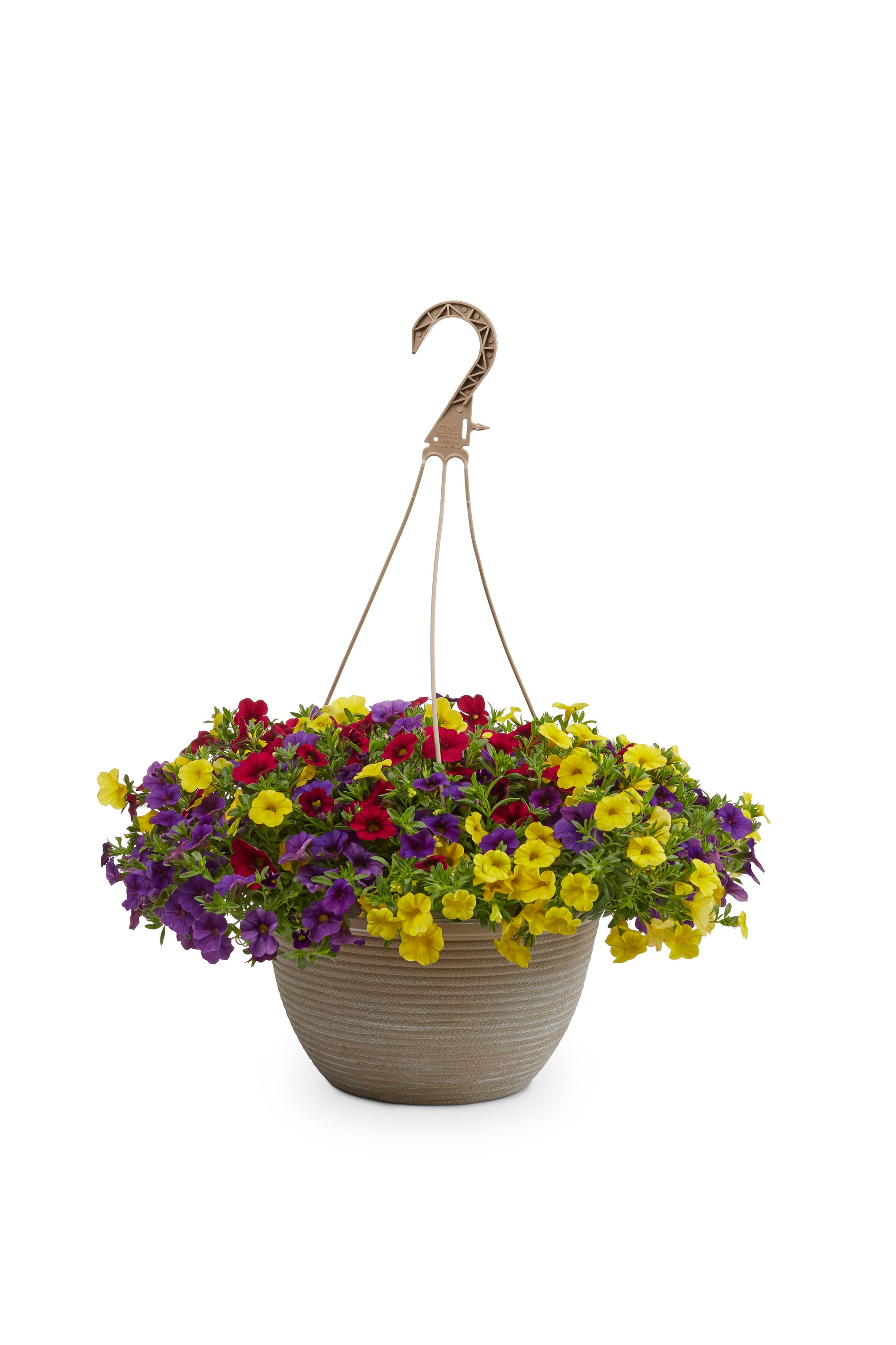 Metrolina Greenhouses 4857 annuals - View #4