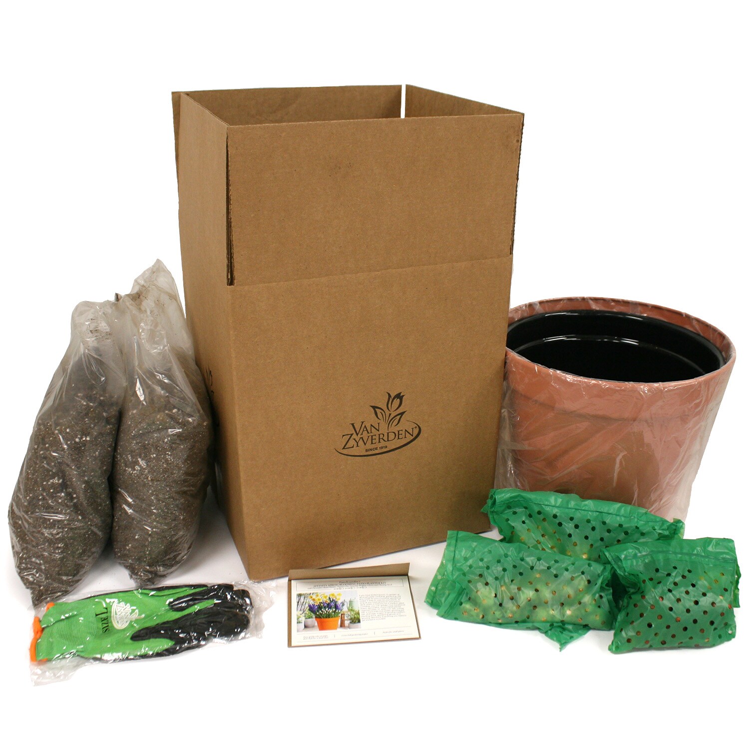 Van Zyverden 87322 Plant-Bulbs - View #5