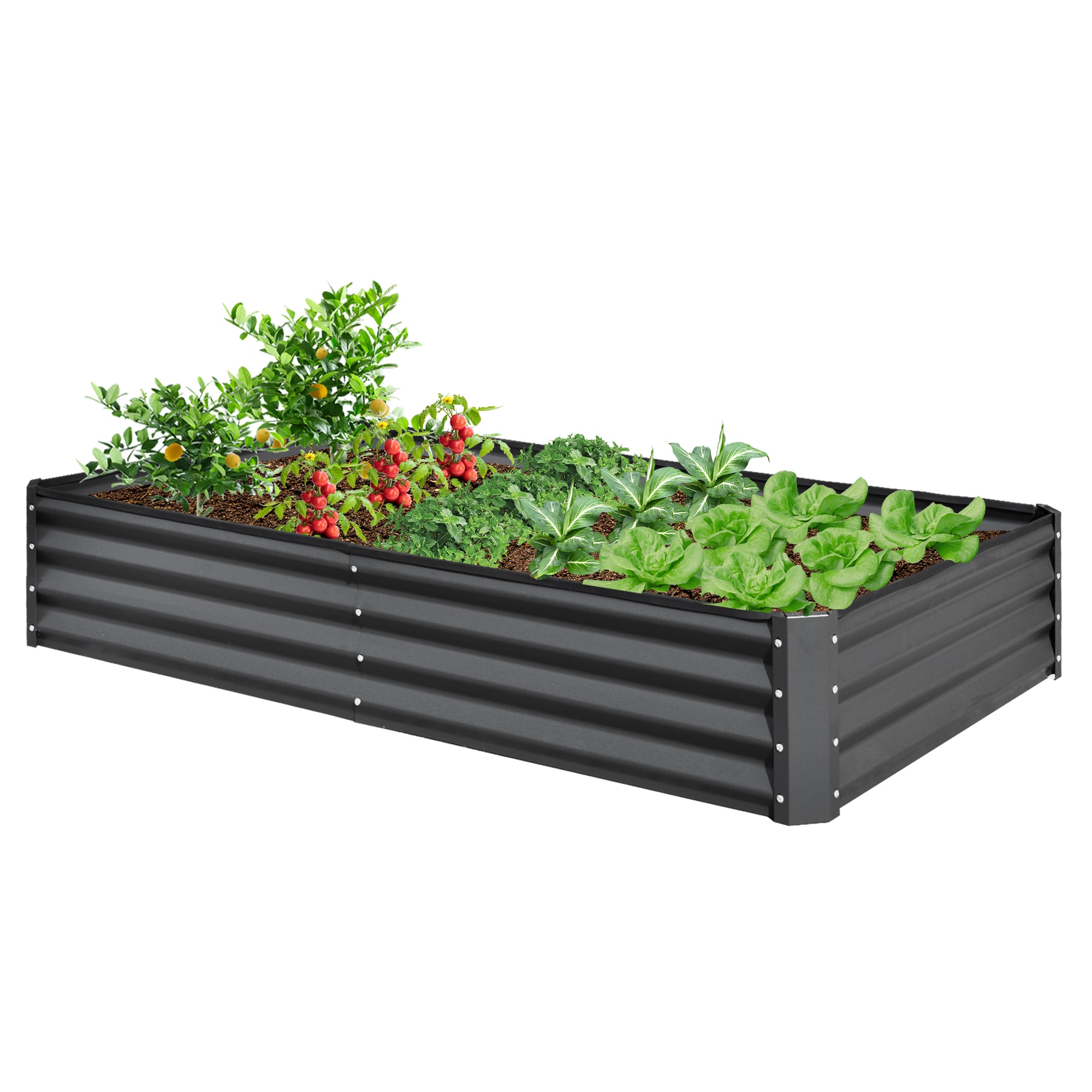 Damerin 39.25-in W x 39.25-in L x 15.75-in H Green Powder