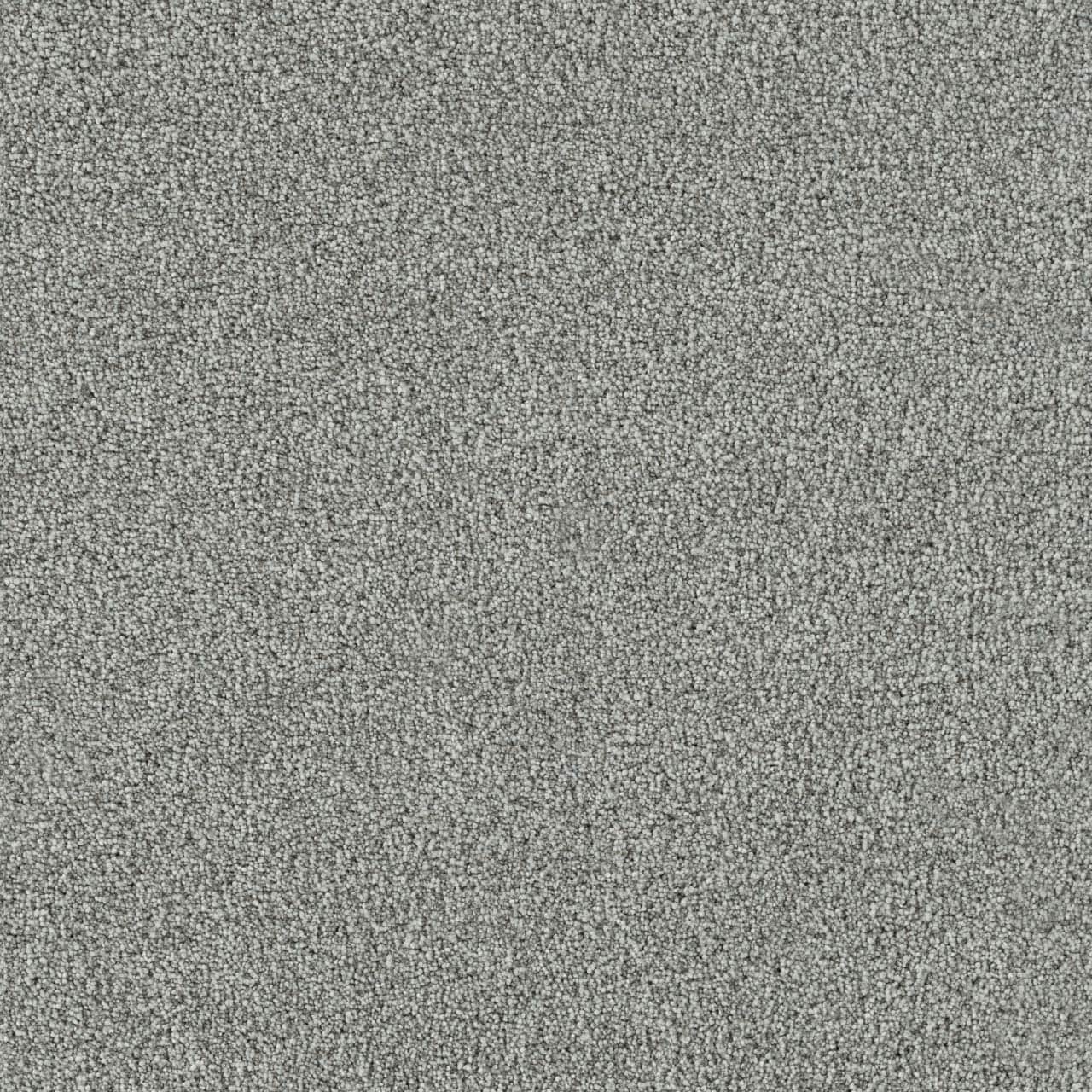 STAINMASTER (Sample) 8-in x 8-in Daybreak III Ease Gray 75-oz sq yard Solution-dyed polyester Textured Indoor Carpet