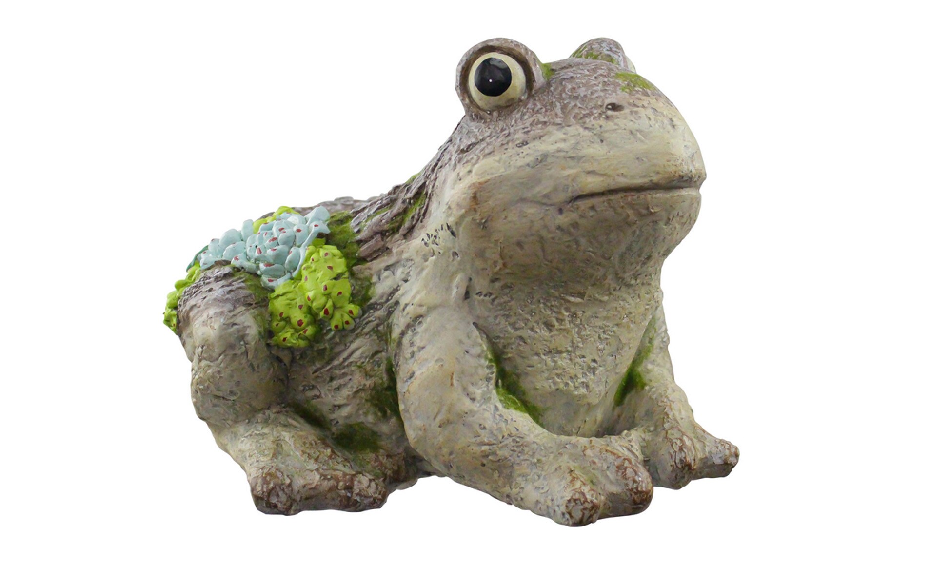 RCS Gifts Planter Frog Moss at