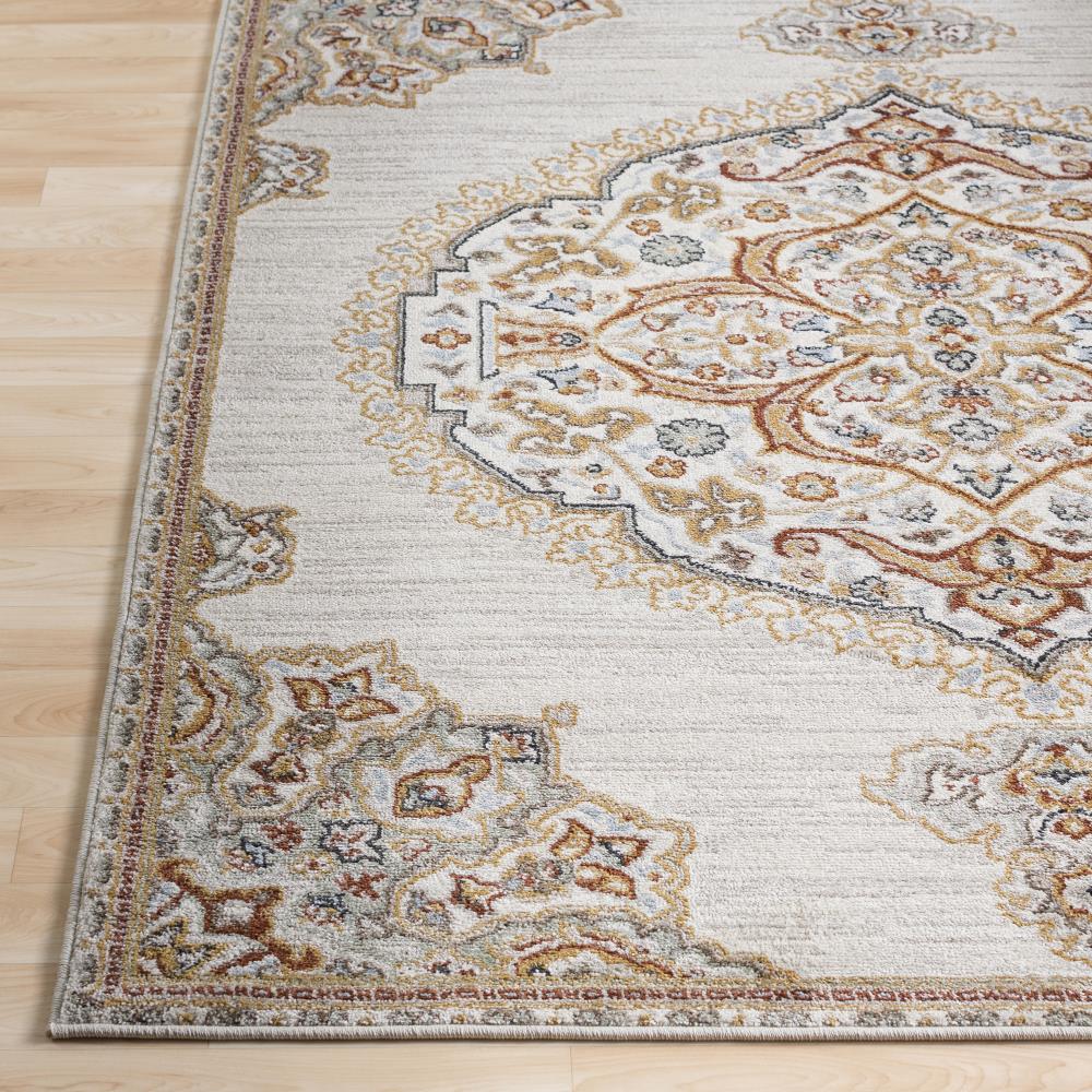 Surya OUS2313-6796 rugs - View #3