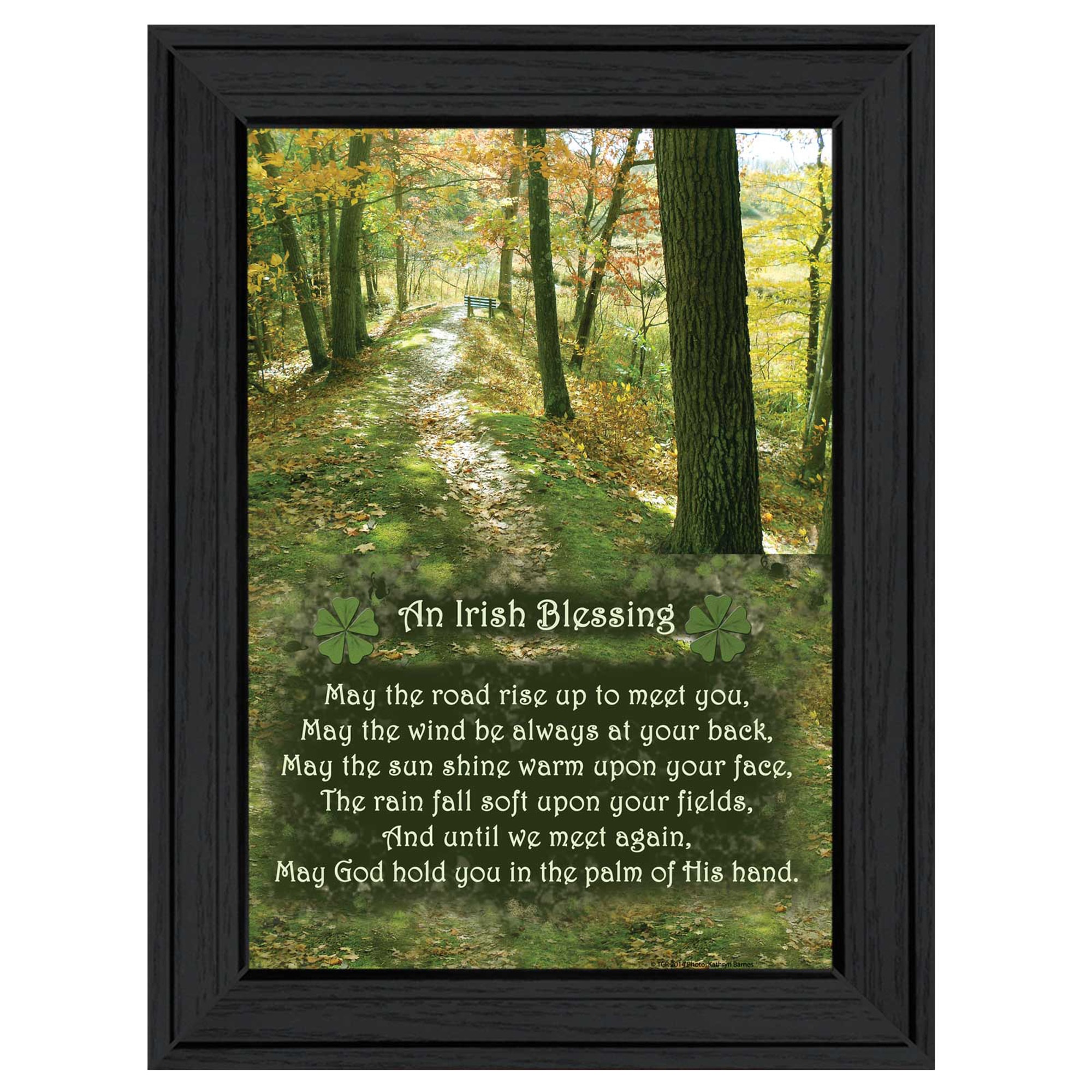 HyperDrop Cart Black Engineered Wood Framed Irish Blessing Wall Art Reinforced Print Heavy-Duty for Entryway