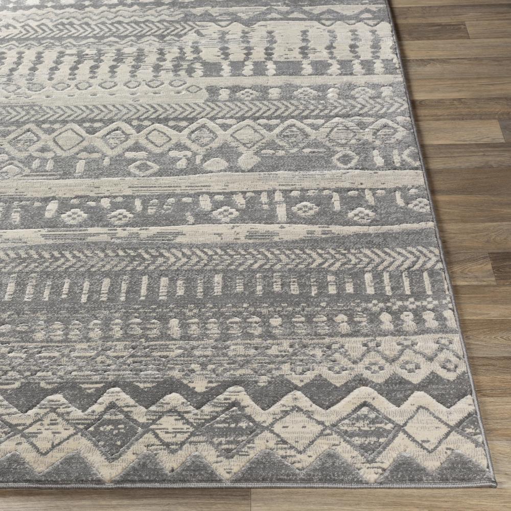 Surya CIT2362-5373 rugs - View #3
