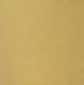 Brushed Golden Brass