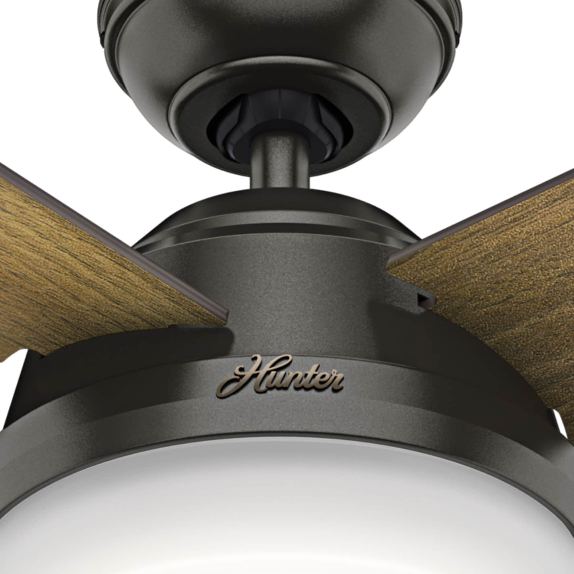 Hunter 59443 Ceiling-Fans - View #8