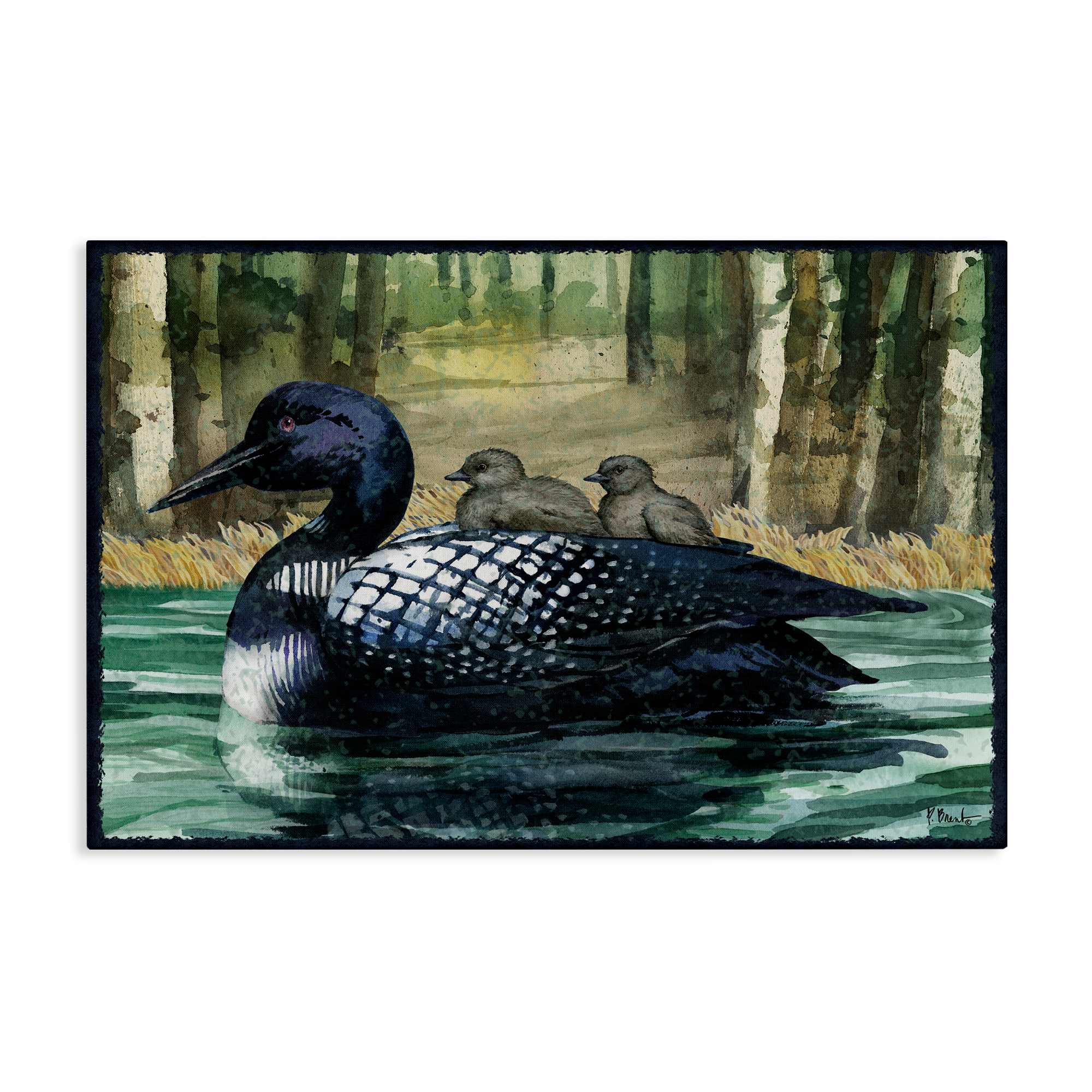 Stupell Industries  Loon Family on Lake Canvas Wall Art By Paul Brent 45 x 30