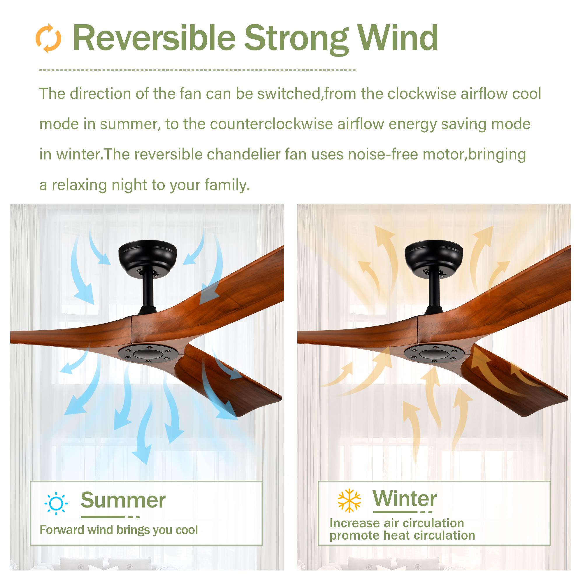 Bayfeve BFHM-09878-CF Ceiling-Fans - View #7