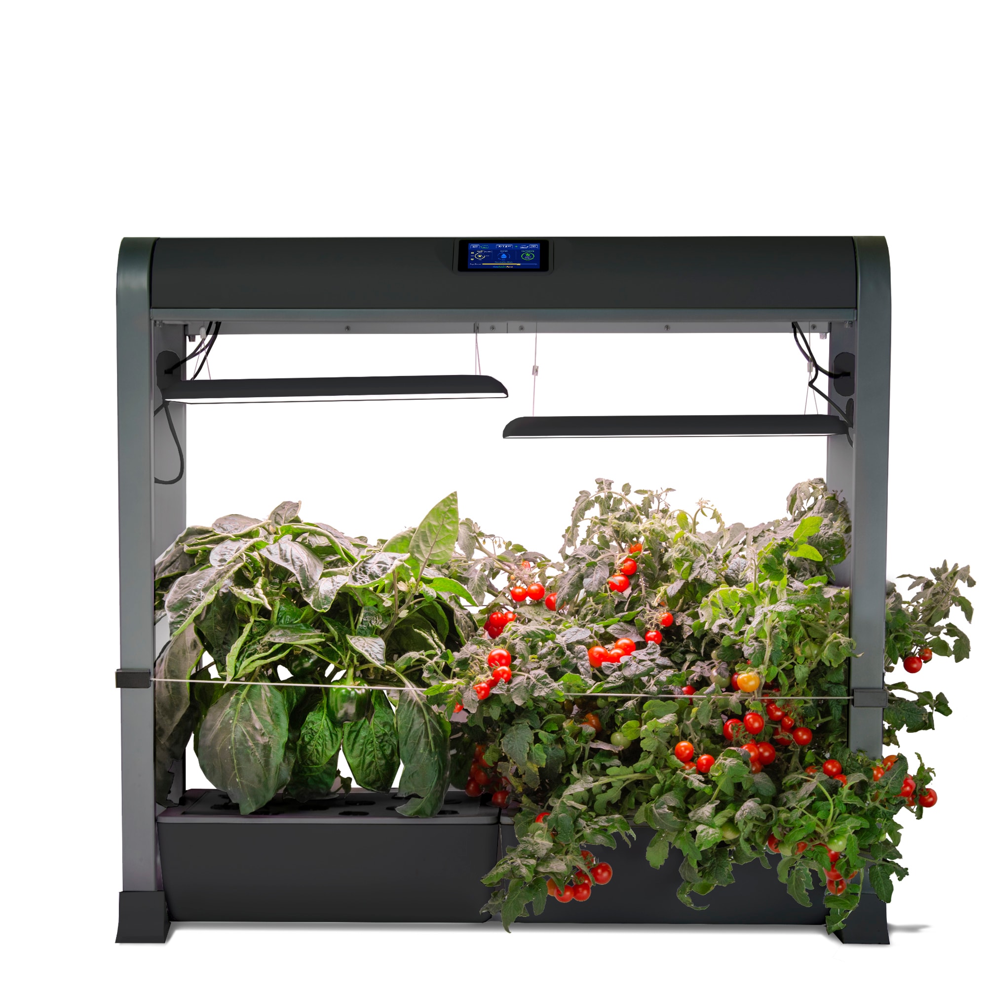 Seed Kit AeroGarden LED Black Indoor Hydroponic Grow Kit System Herb Garden 