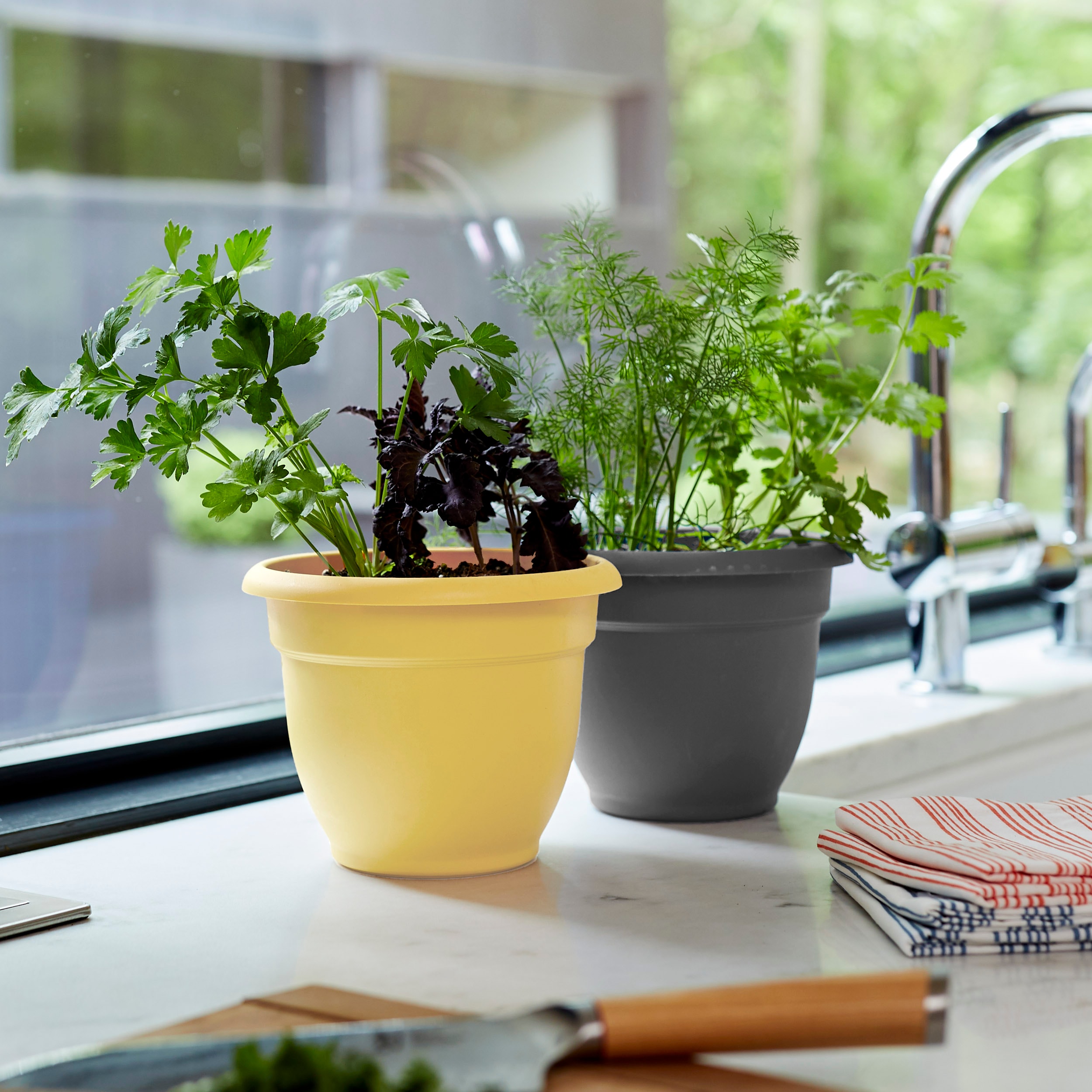 Bloem AP0624 Planter-Window-Box - View #2