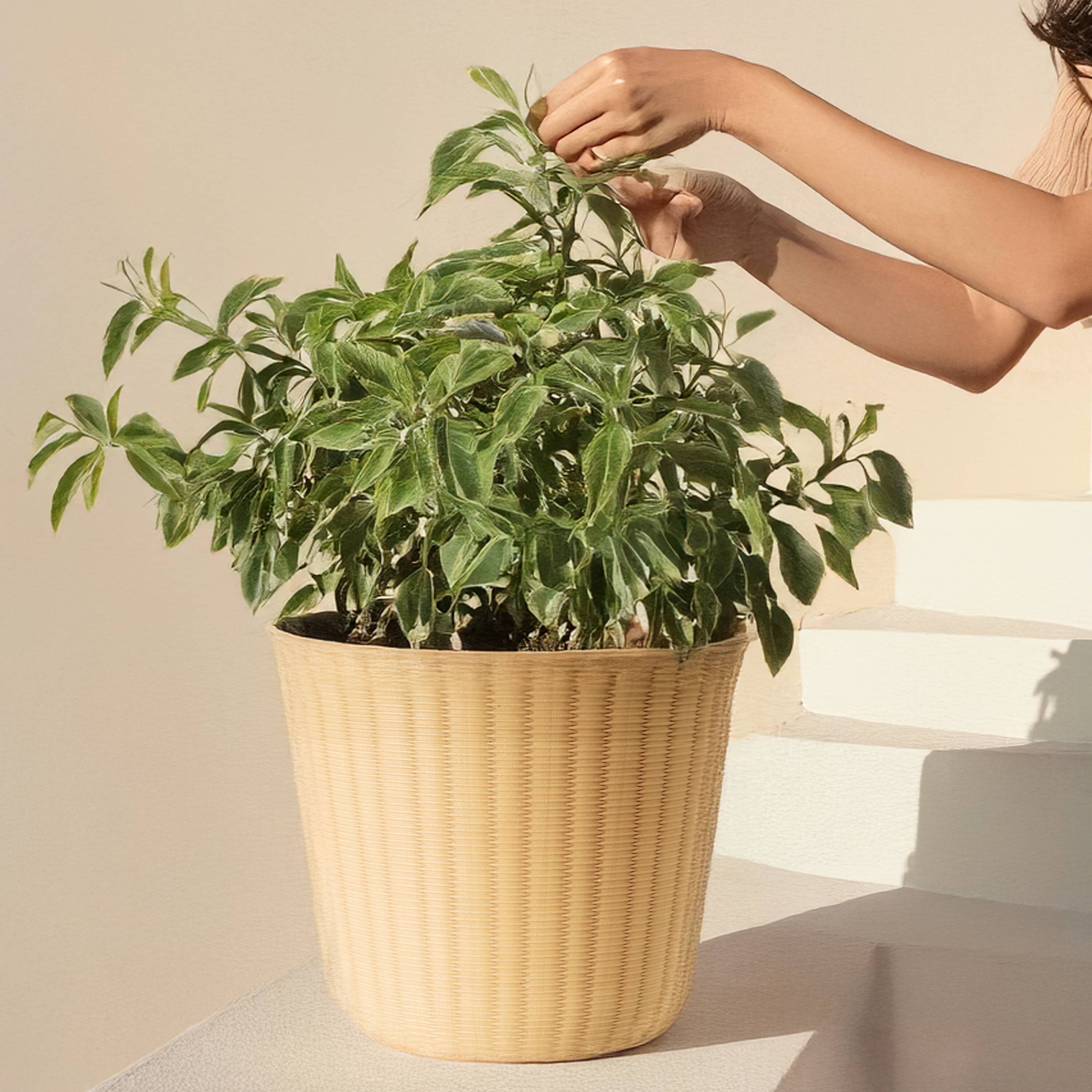 Style Selections DP2151P Planter-Window-Box - View #6