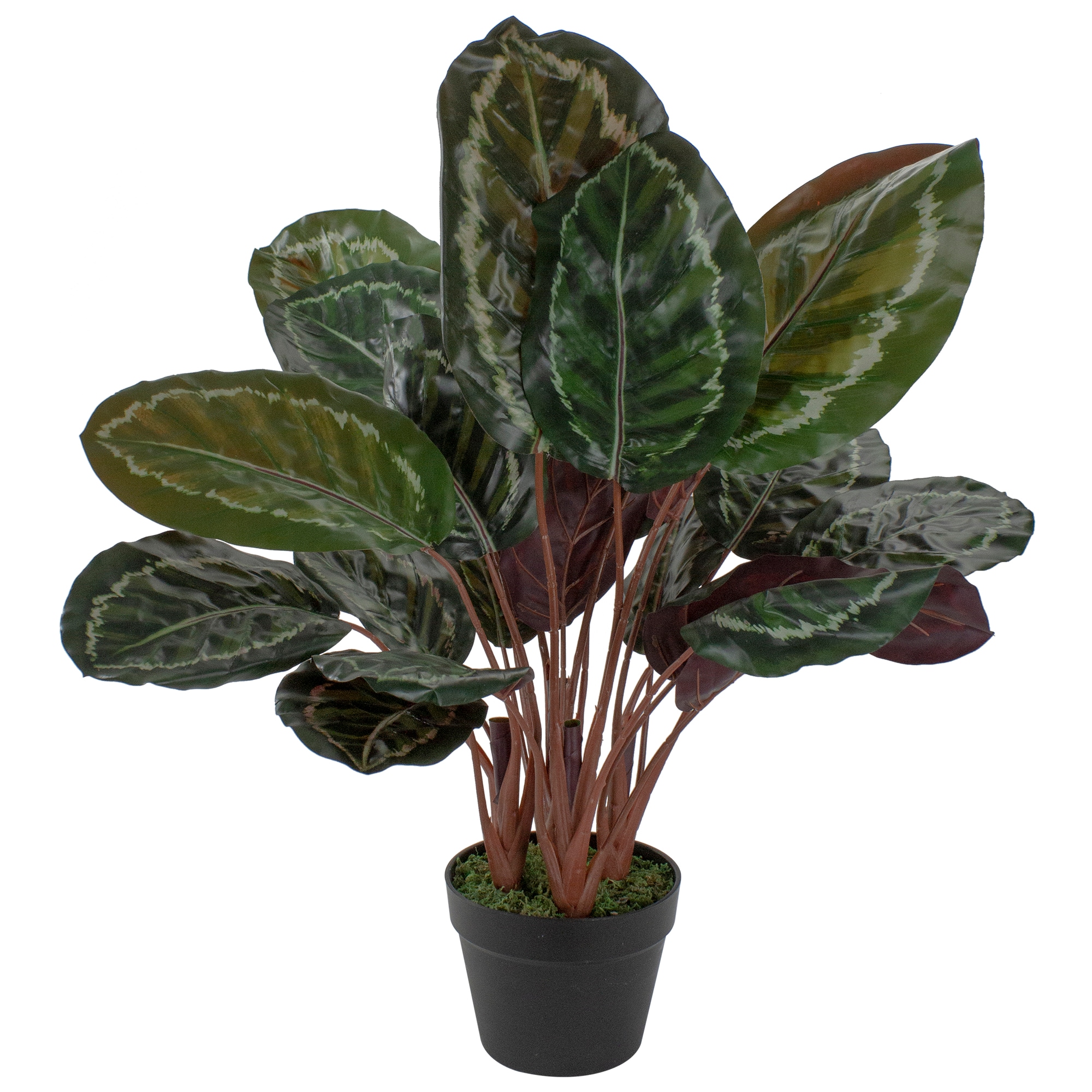 Northlight 30-in Green Indoor Artificial Calathea Plants in the Artificial  Plants & Flowers department at 