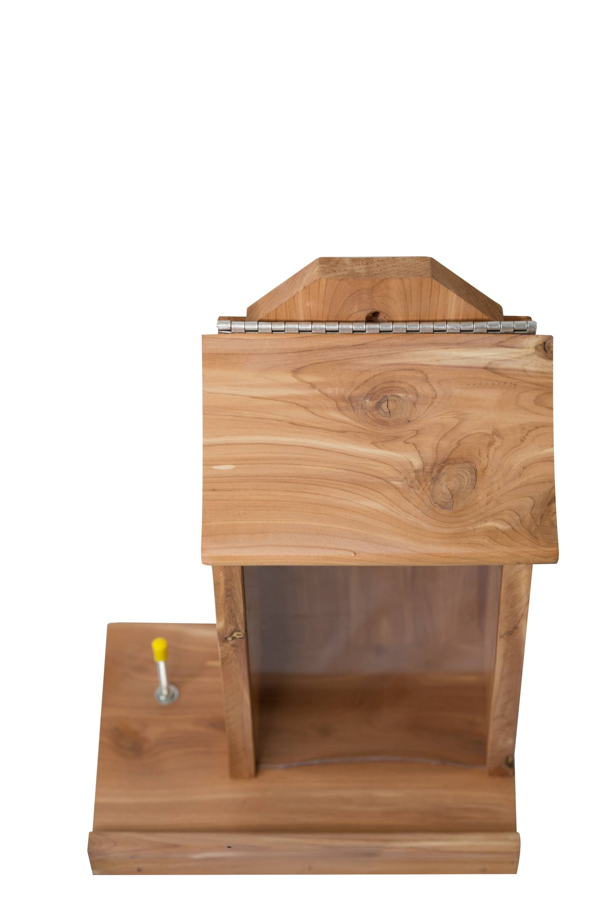 HomeGrown CBF-03222 Squirrel-Feeders - View #4