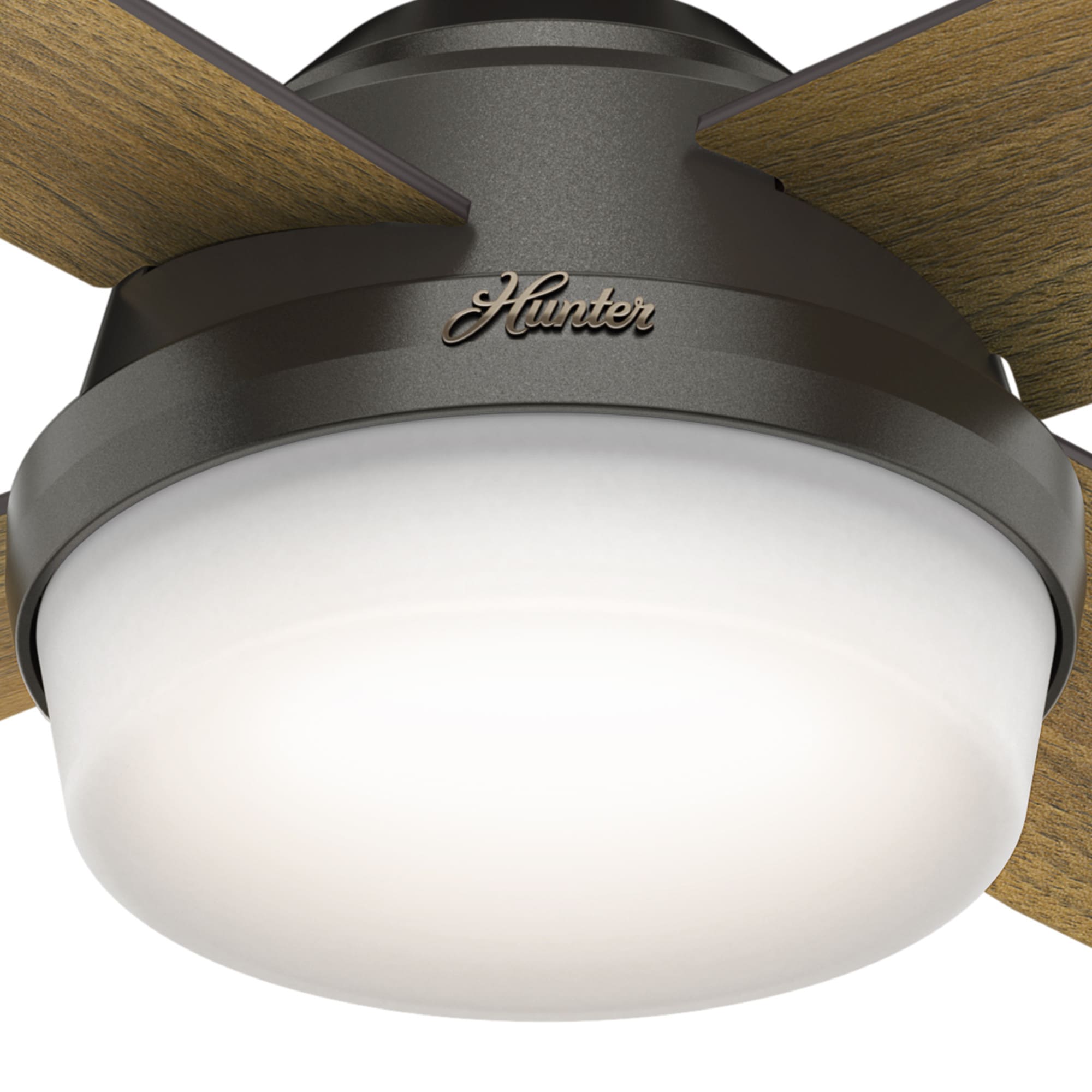 Hunter 59446 Ceiling-Fans - View #10