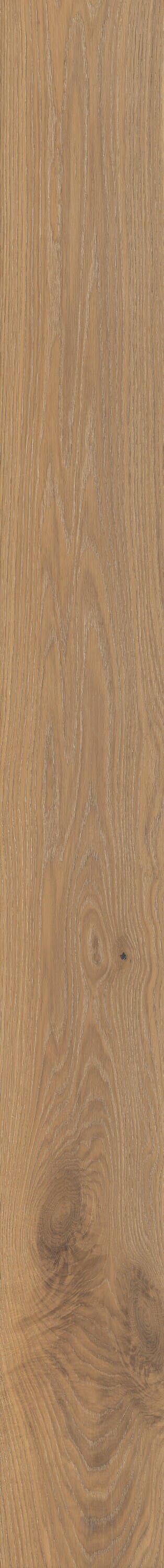 Shaw LX77501133 Wood-Floors - View #5