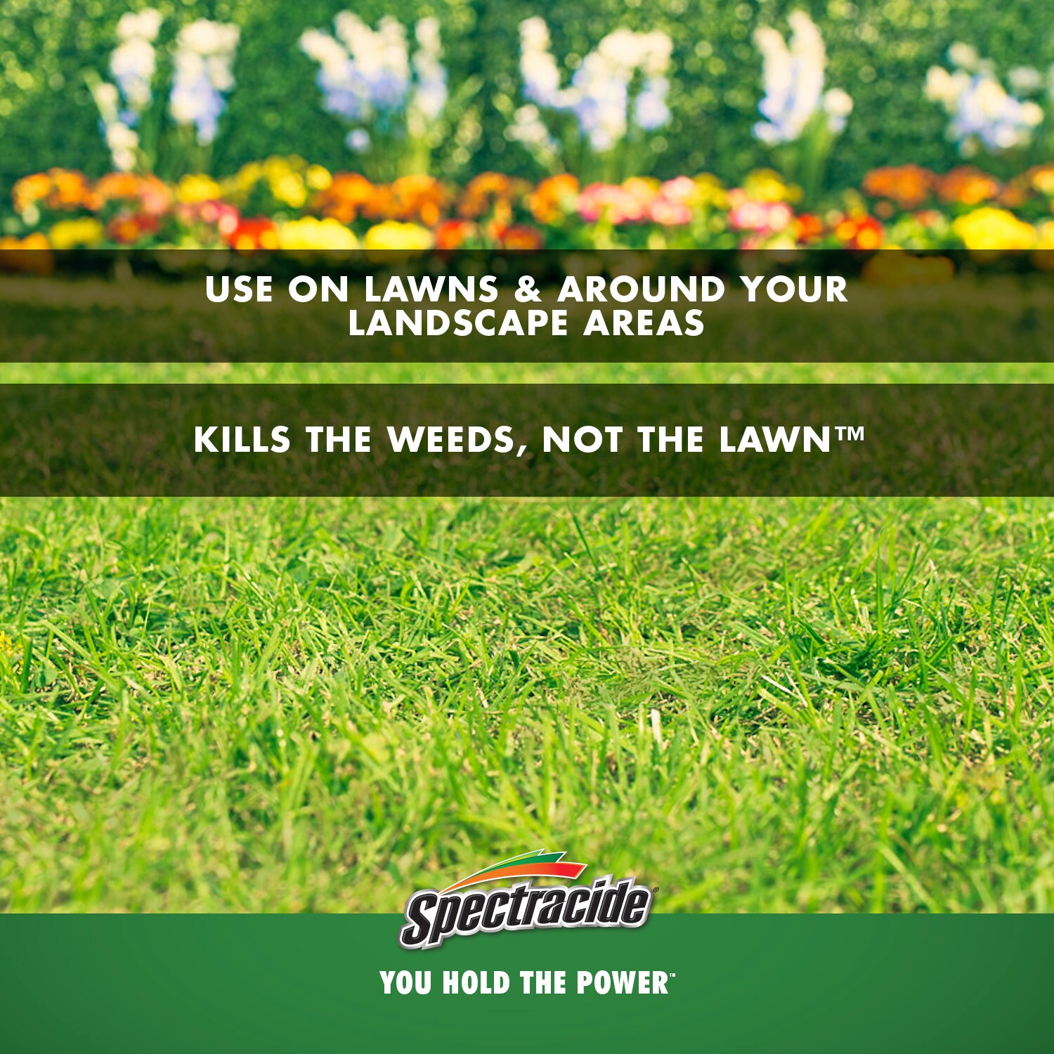 Spectracide HG-10561 Weed-Killers - View #5