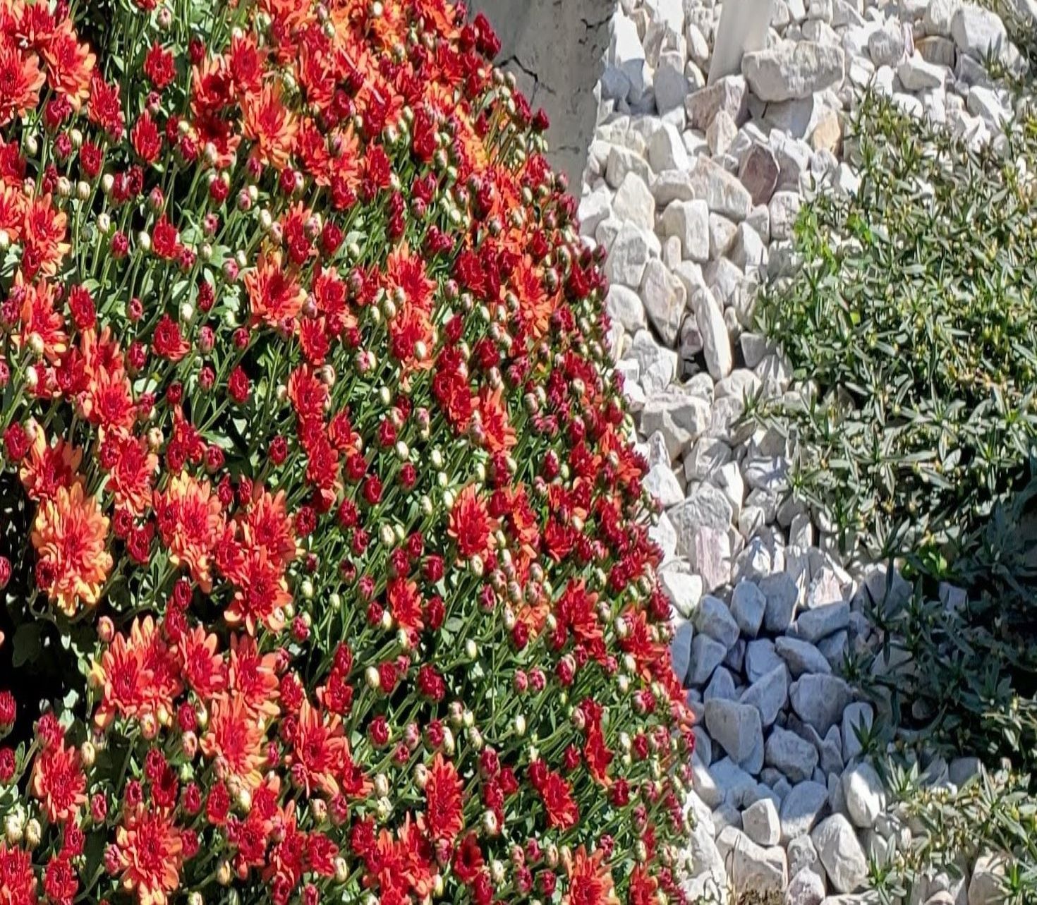 Short Mountain Silica 109 Landscaping-Rock - View #4