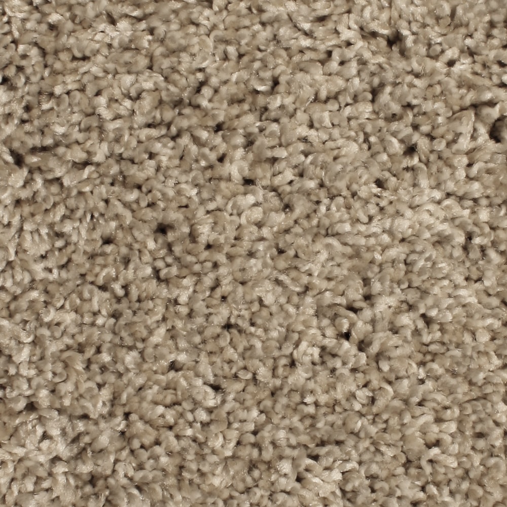 STAINMASTER S7045-9-1200-AB (Sample) Mill Cove Capehart Brown 45.0-oz sq yard Polyester Textured Indoor Carpet