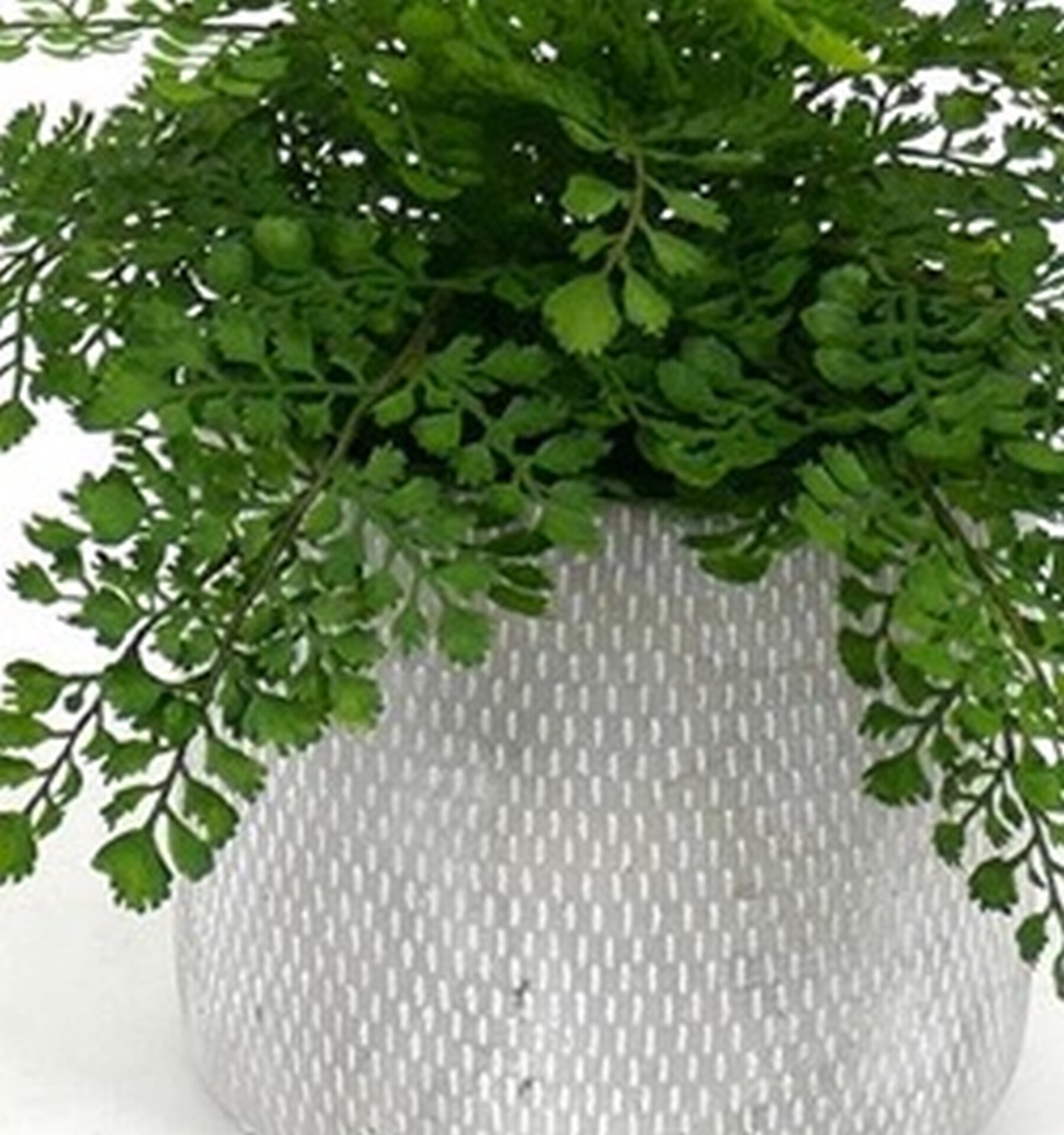 allen + roth 21LOW232 Artificial-Plants-Trees - View #9