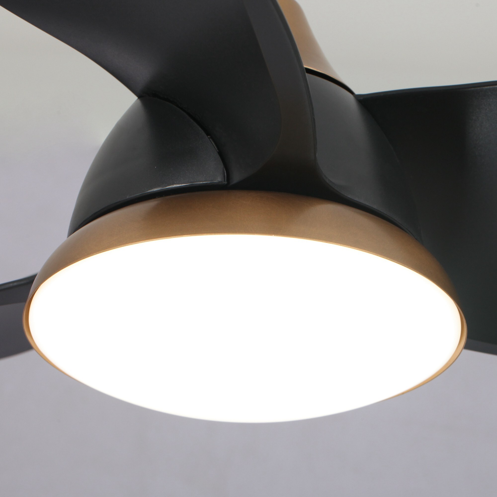 Parrot Uncle F6335110V Ceiling-Fans - View #11