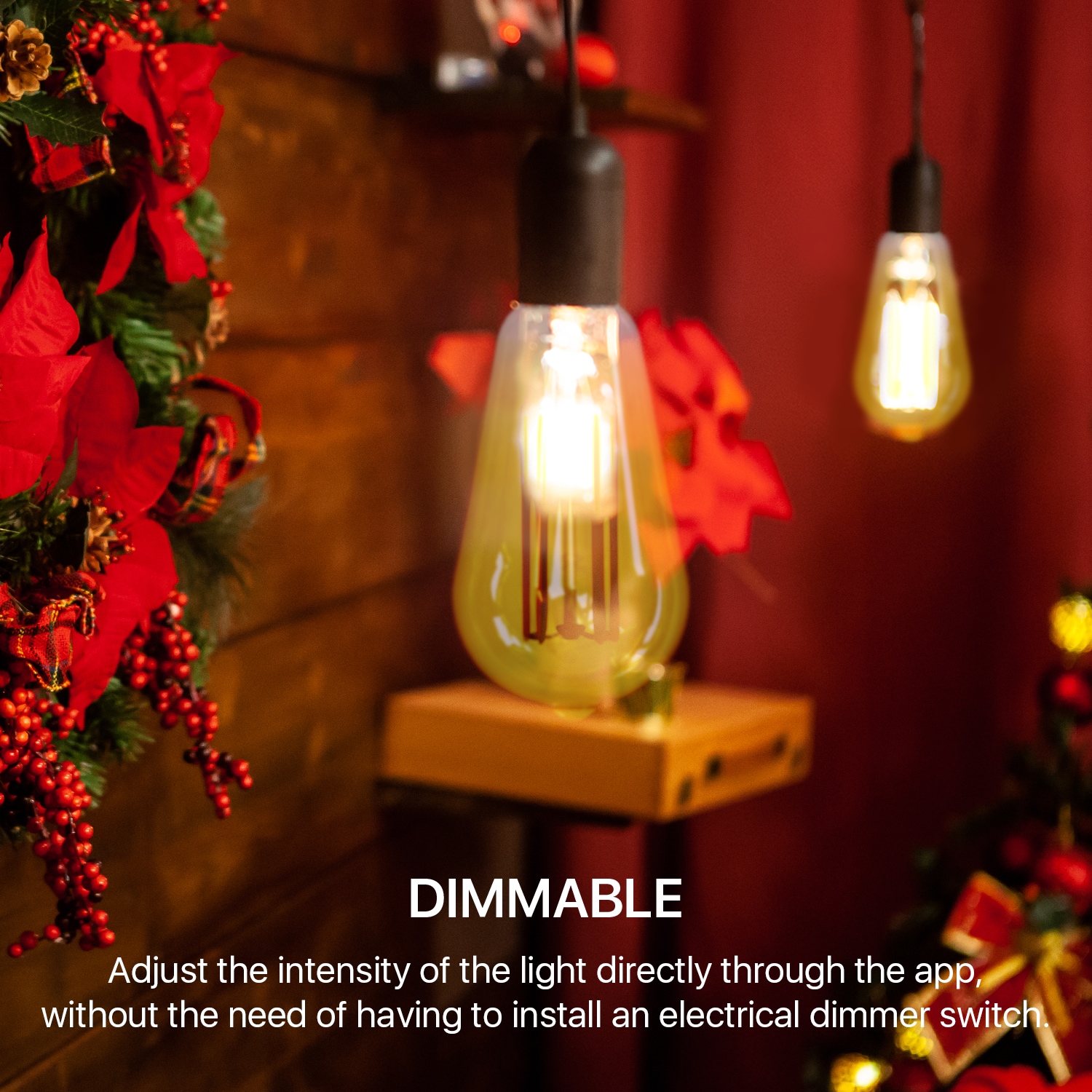 eco4life EC-F100 Dec-Led-Light-Bulbs - View #4