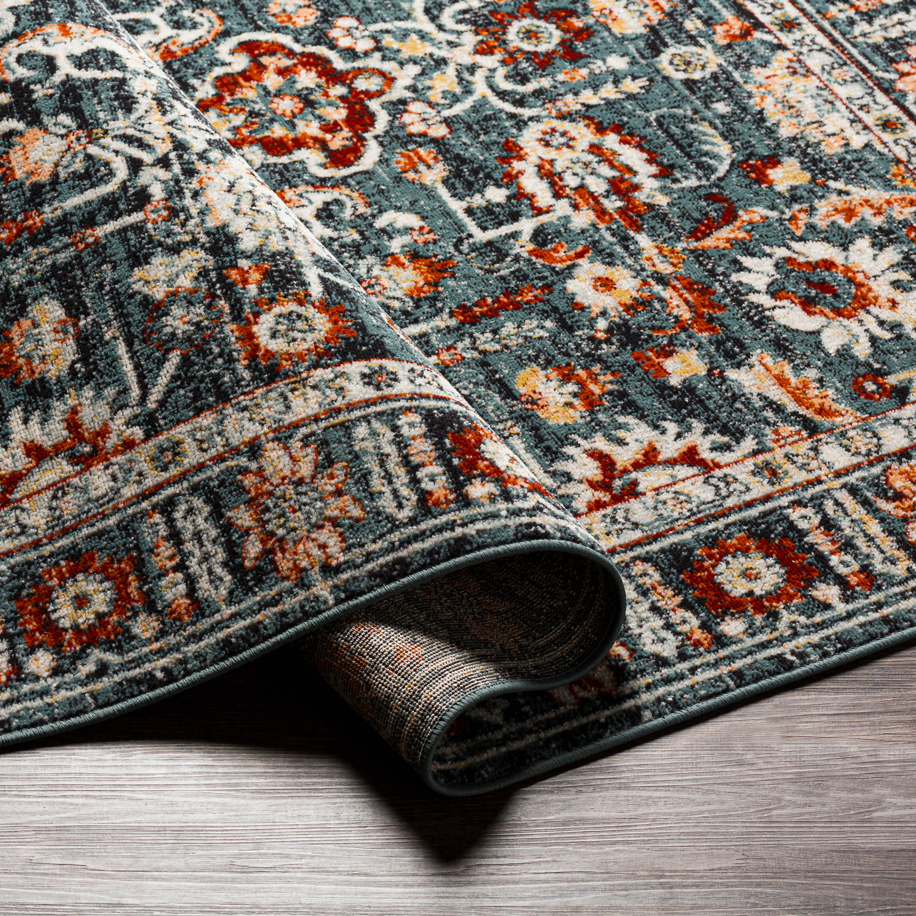 Artistic Weavers RDD2307-537 rugs - View #4